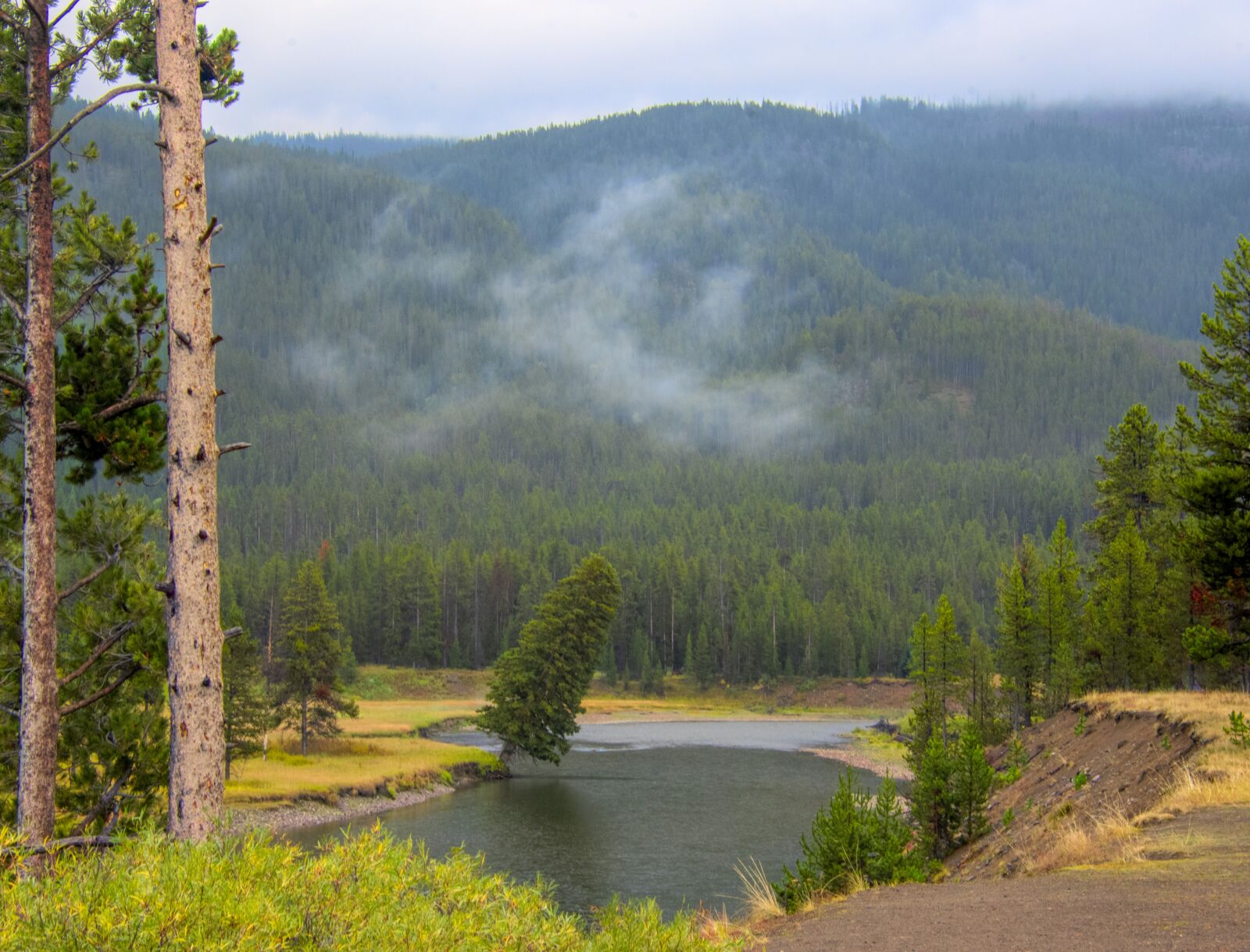 Nikon D850 sample photo. Yellowstone, park, wyoming photography