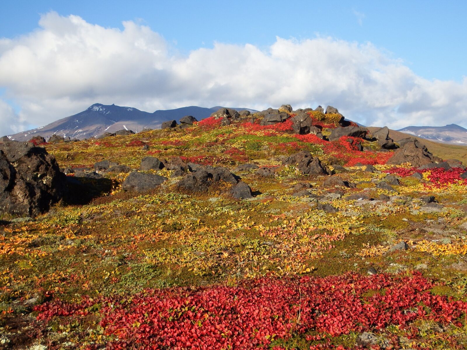 Fujifilm FinePix S1 sample photo. Mountains, volcano, tundra photography