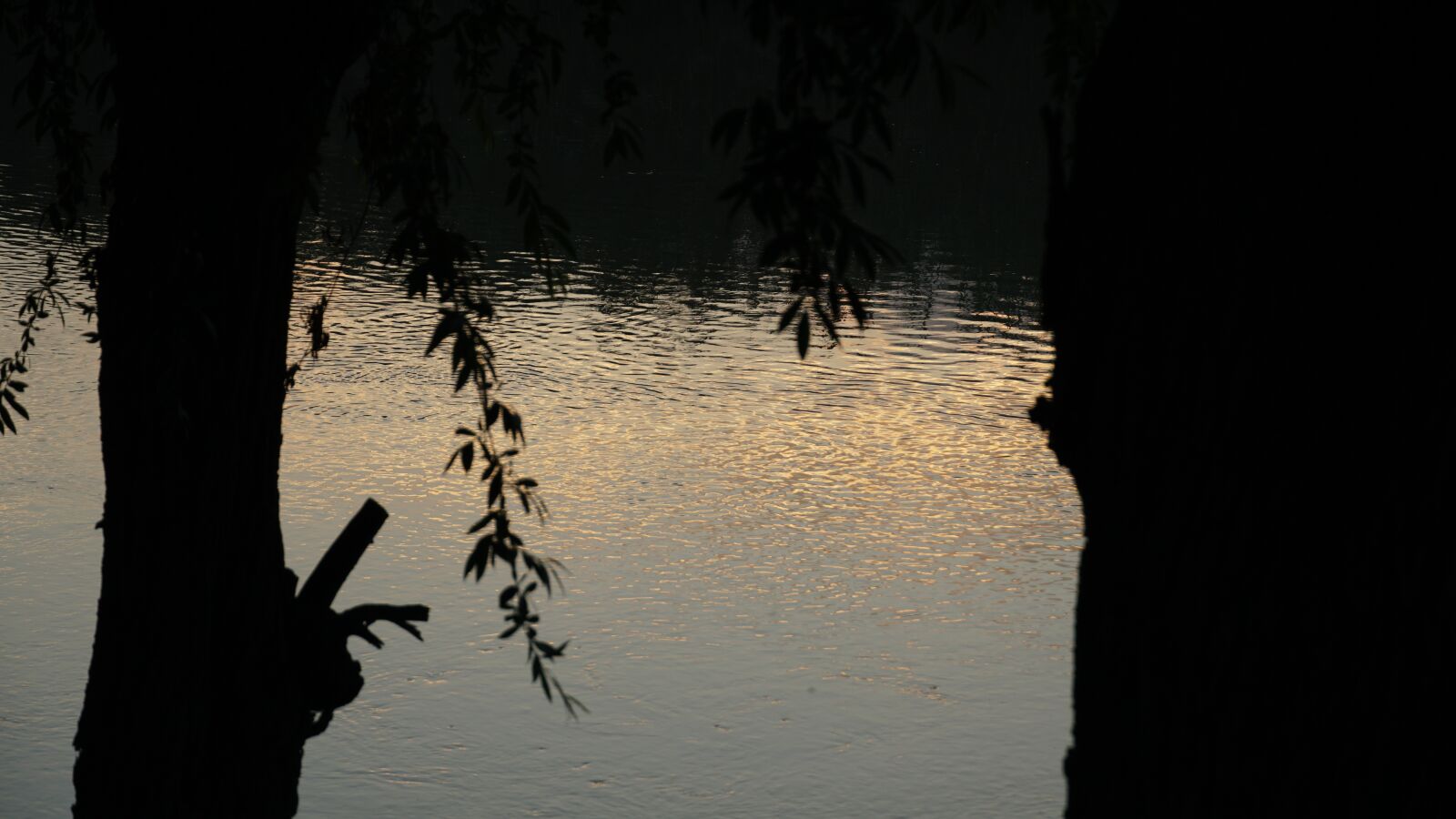 Sony a6500 sample photo. Sunset, evening, ripple photography