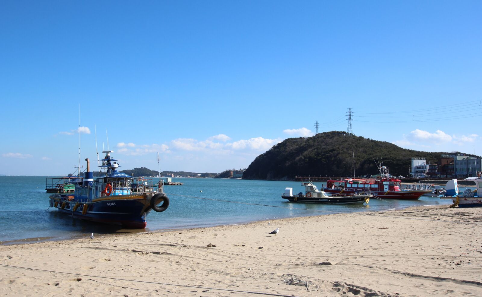 Canon EOS 600D (Rebel EOS T3i / EOS Kiss X5) sample photo. Sea, times, meat boats photography