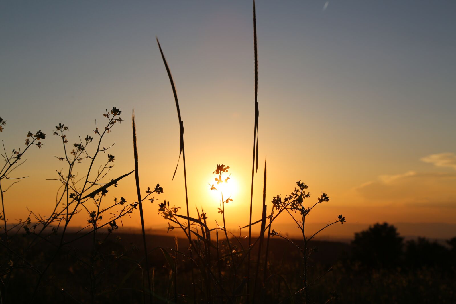 Canon EF 24-105mm F4L IS USM sample photo. Sunset, sky, dawn photography