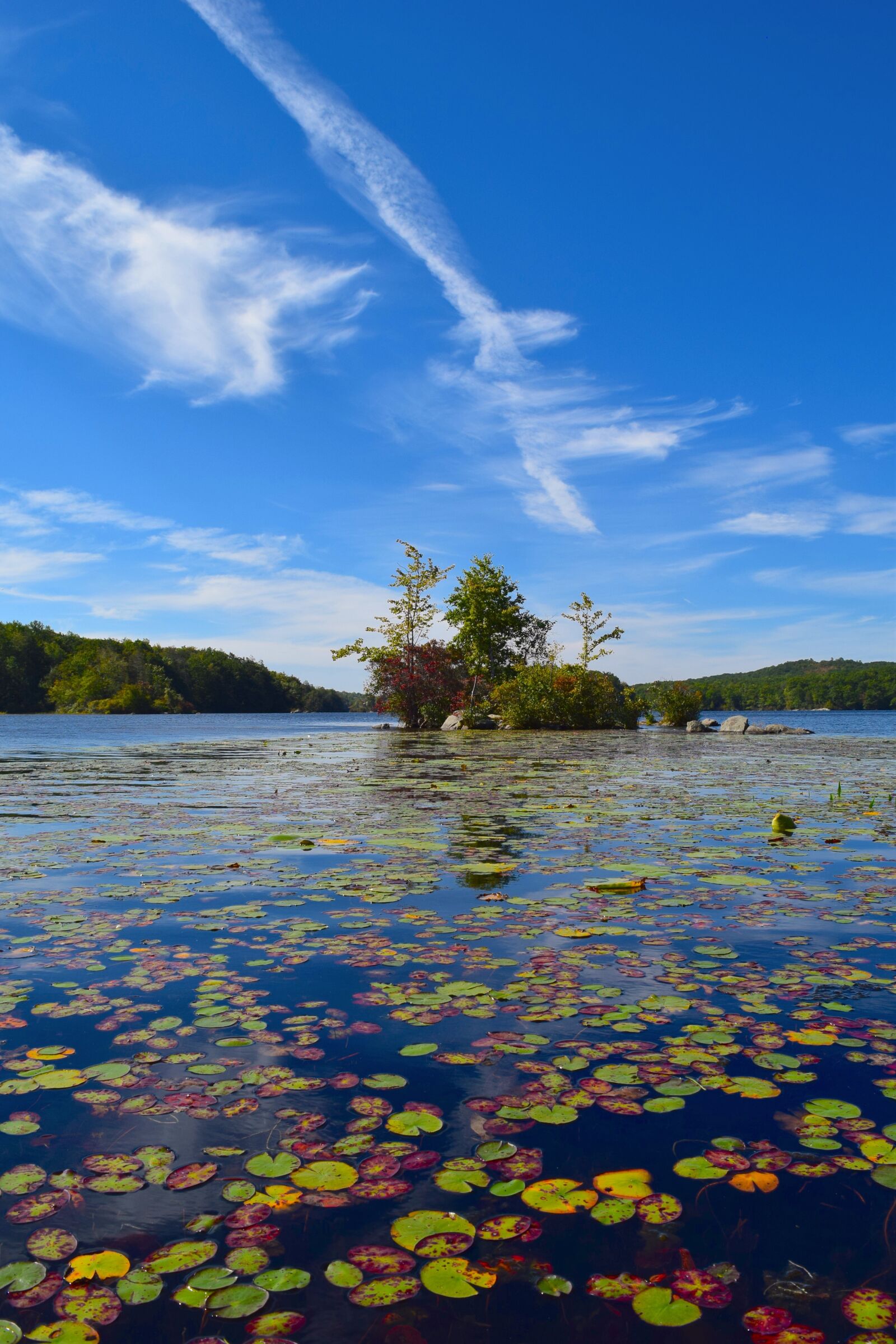 Nikon D3300 sample photo. Lake, island, water photography