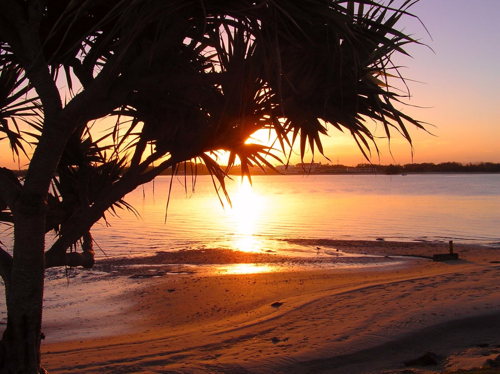 Olympus C750UZ sample photo. Beach sunrise, peaceful, coastline photography