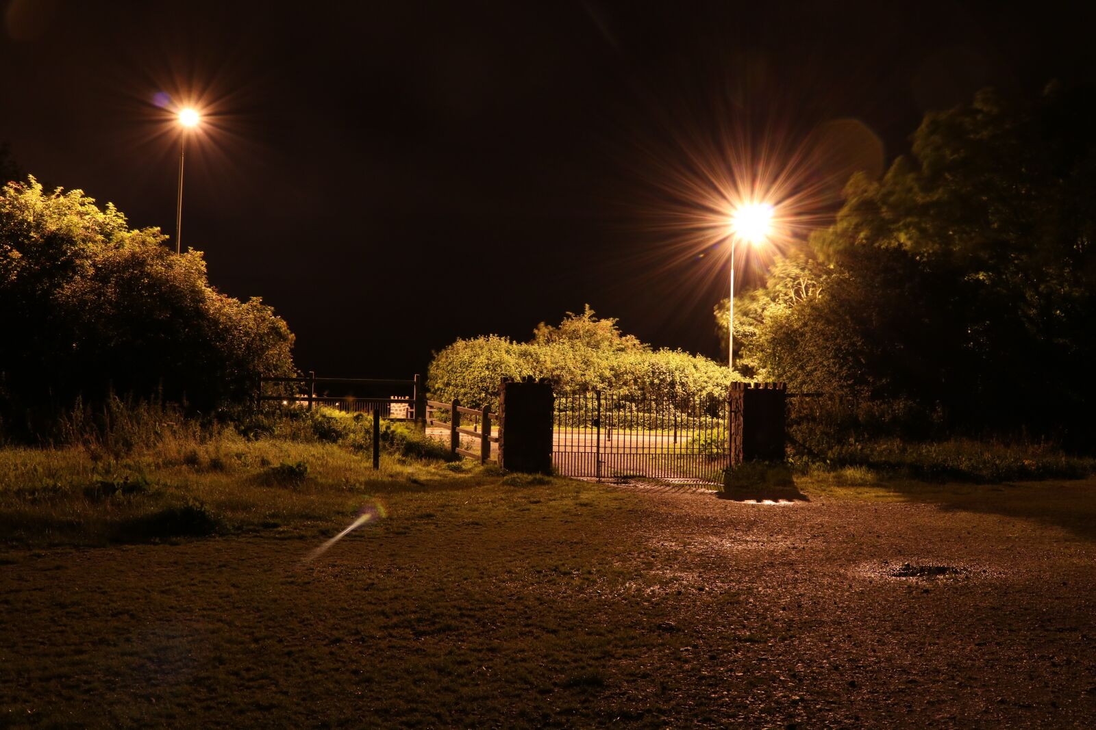 Canon EOS 750D (EOS Rebel T6i / EOS Kiss X8i) sample photo. Park, twilight, evening photography