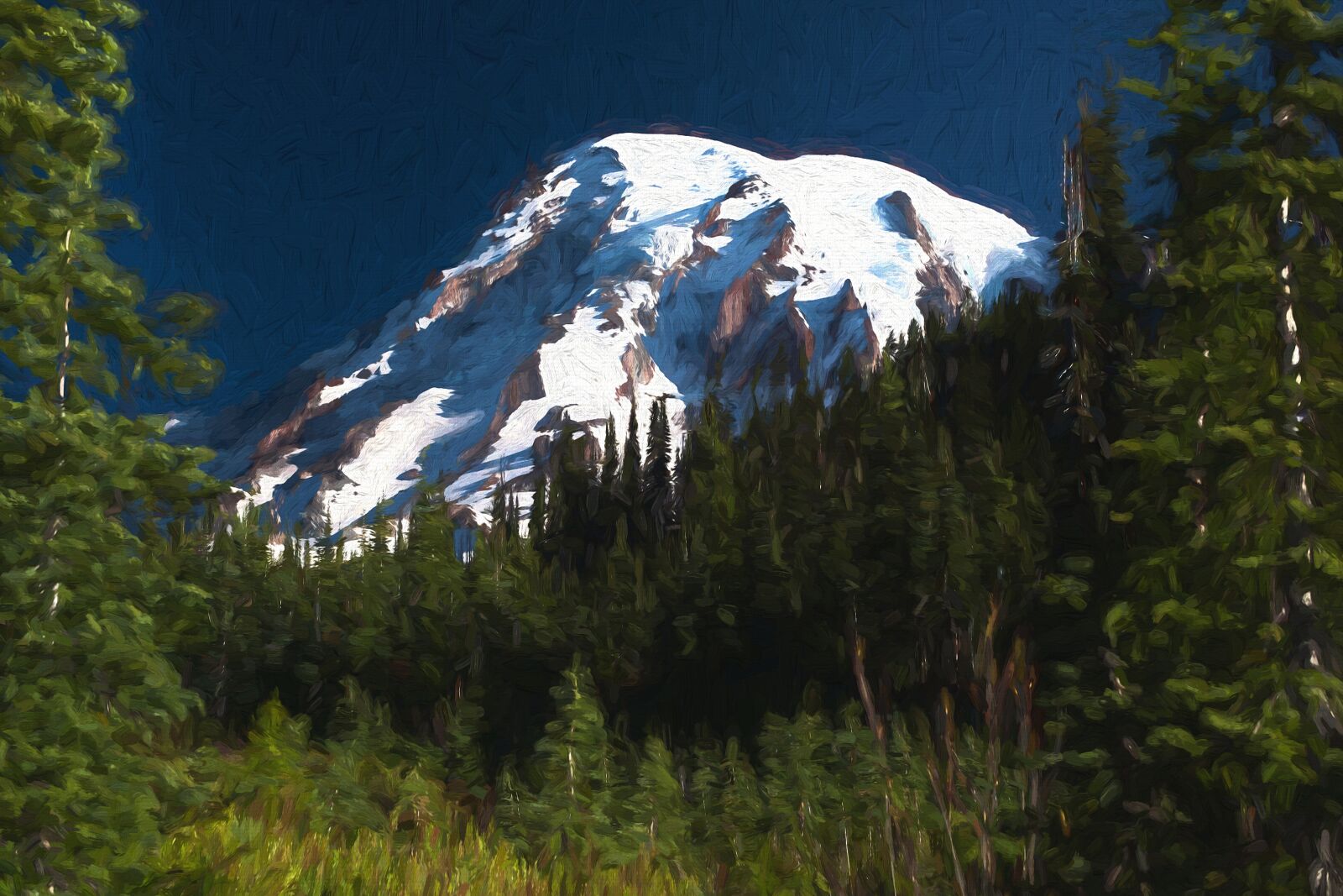 Nikon D610 sample photo. Mt rainier, painting, mountains photography
