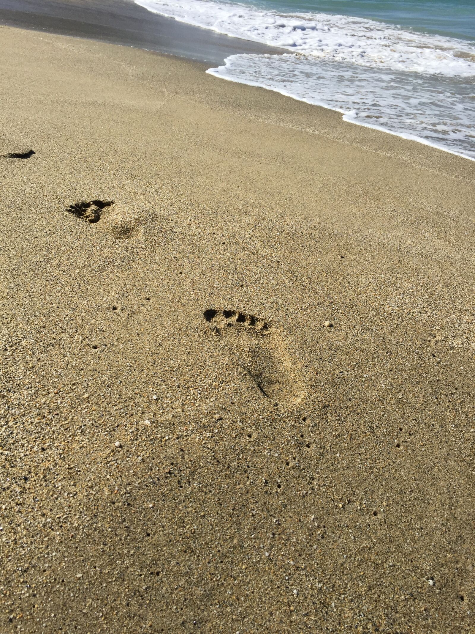 Apple iPhone 6 sample photo. Sea, tracks, prints photography