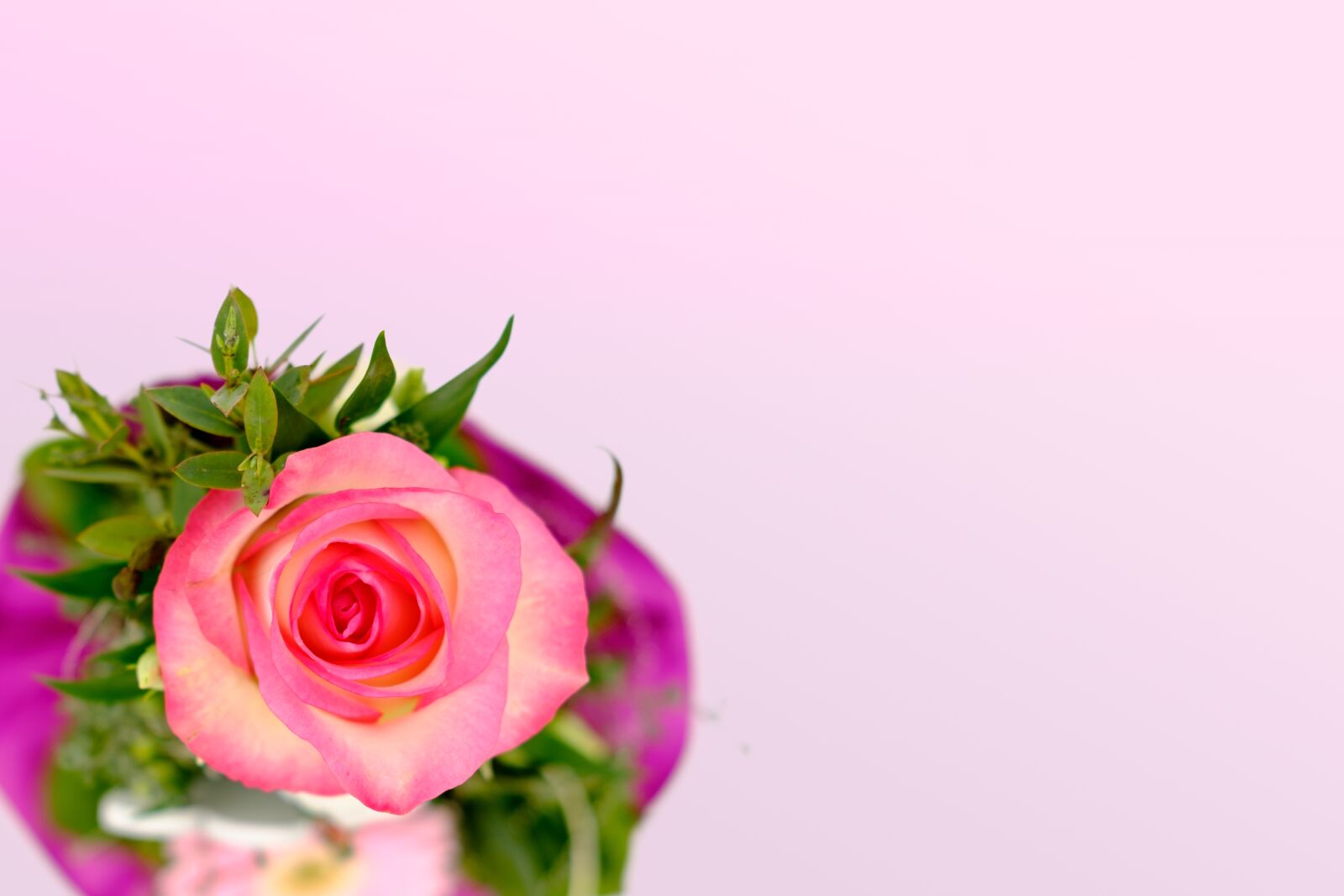 Fujifilm X-T2 + Fujifilm XF 35mm F2 R WR sample photo. Bouquet, flowers, rose photography