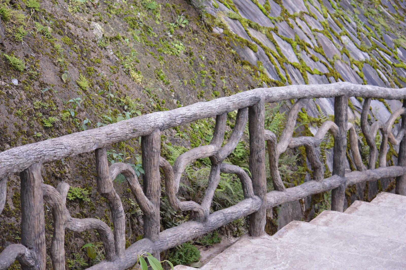 Nikon D3200 sample photo. Fence, wood, moss photography