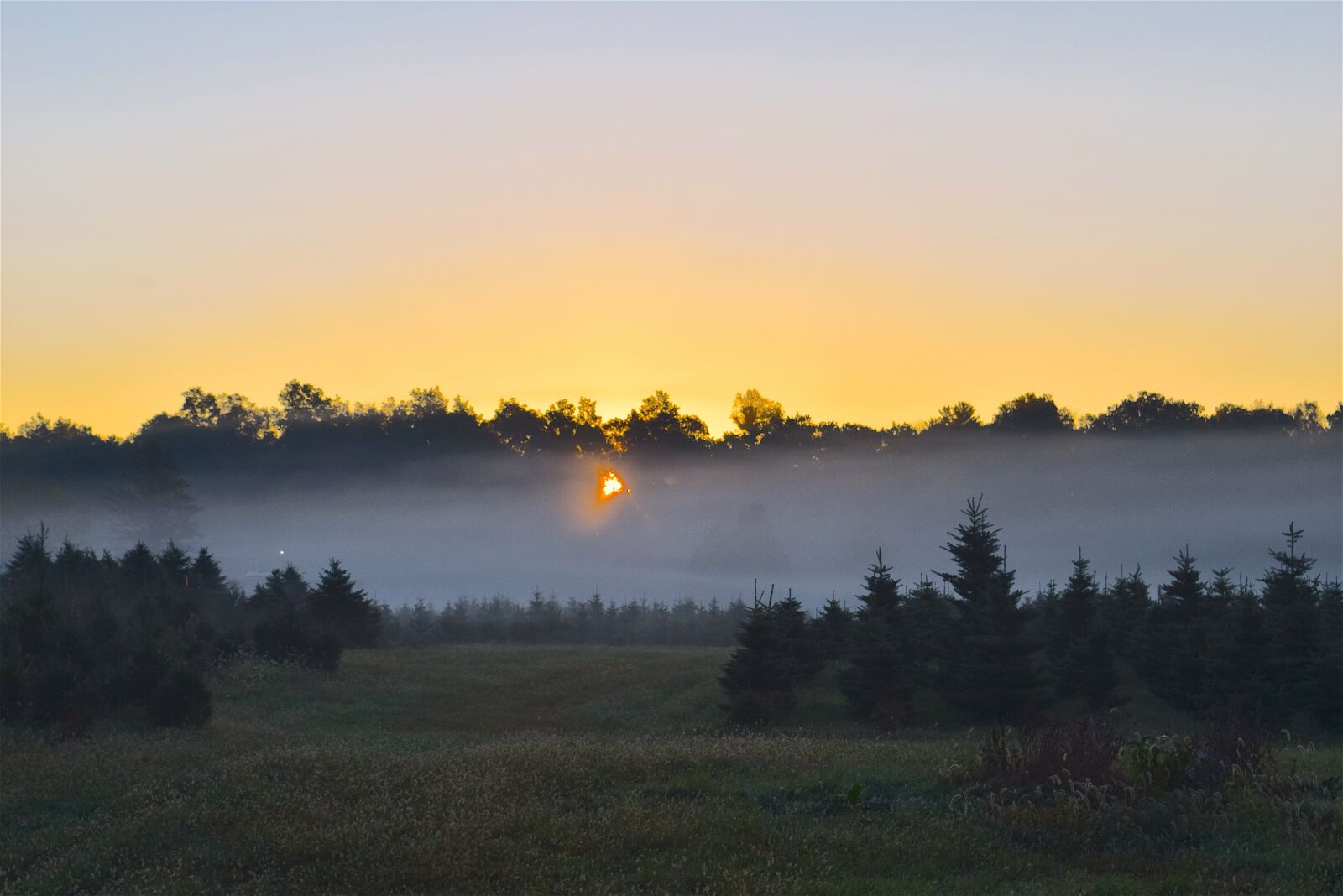 Nikon D3300 sample photo. Sunrise, mist, field photography