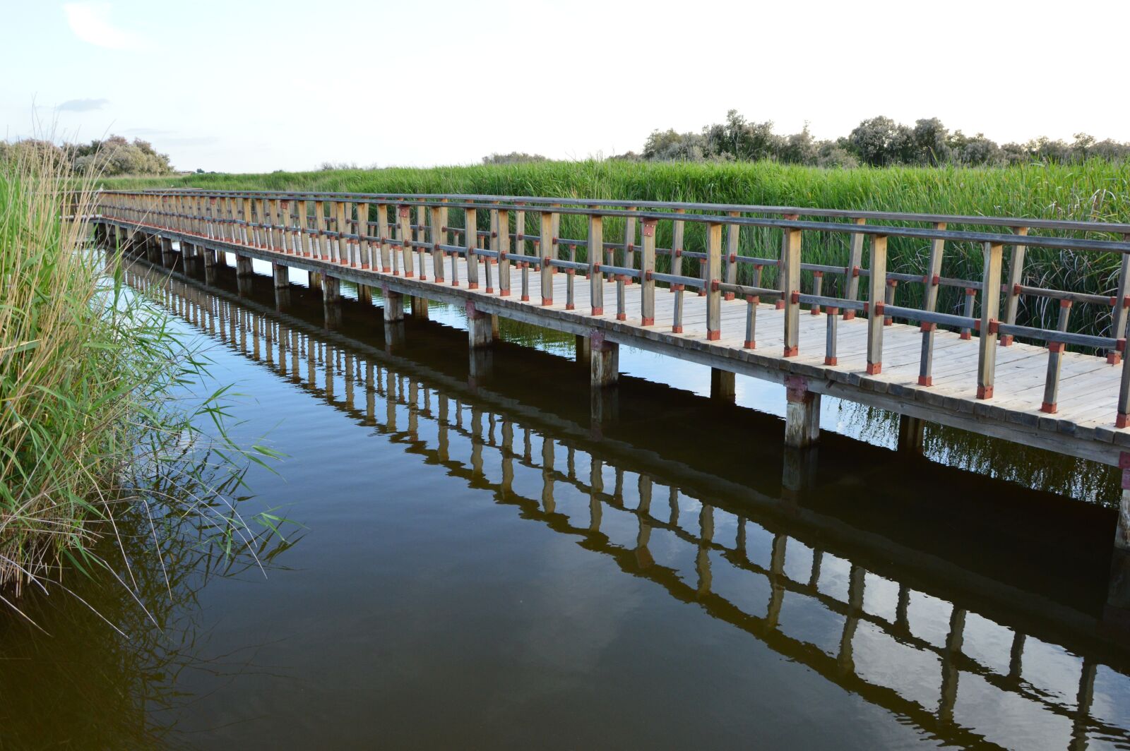 Nikon D3200 sample photo. Tables daimiel, water, royal photography
