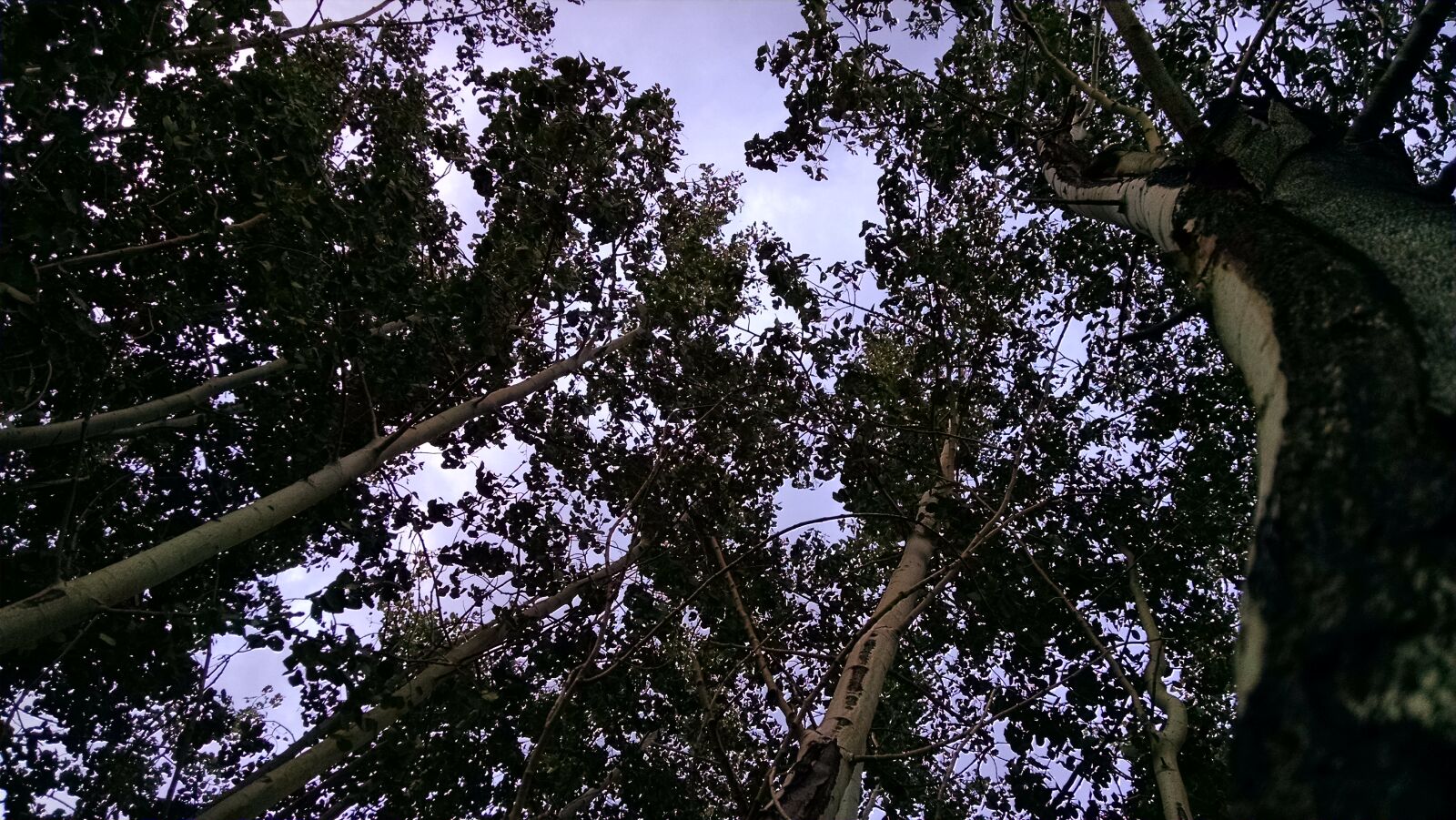 Motorola XT1080 sample photo