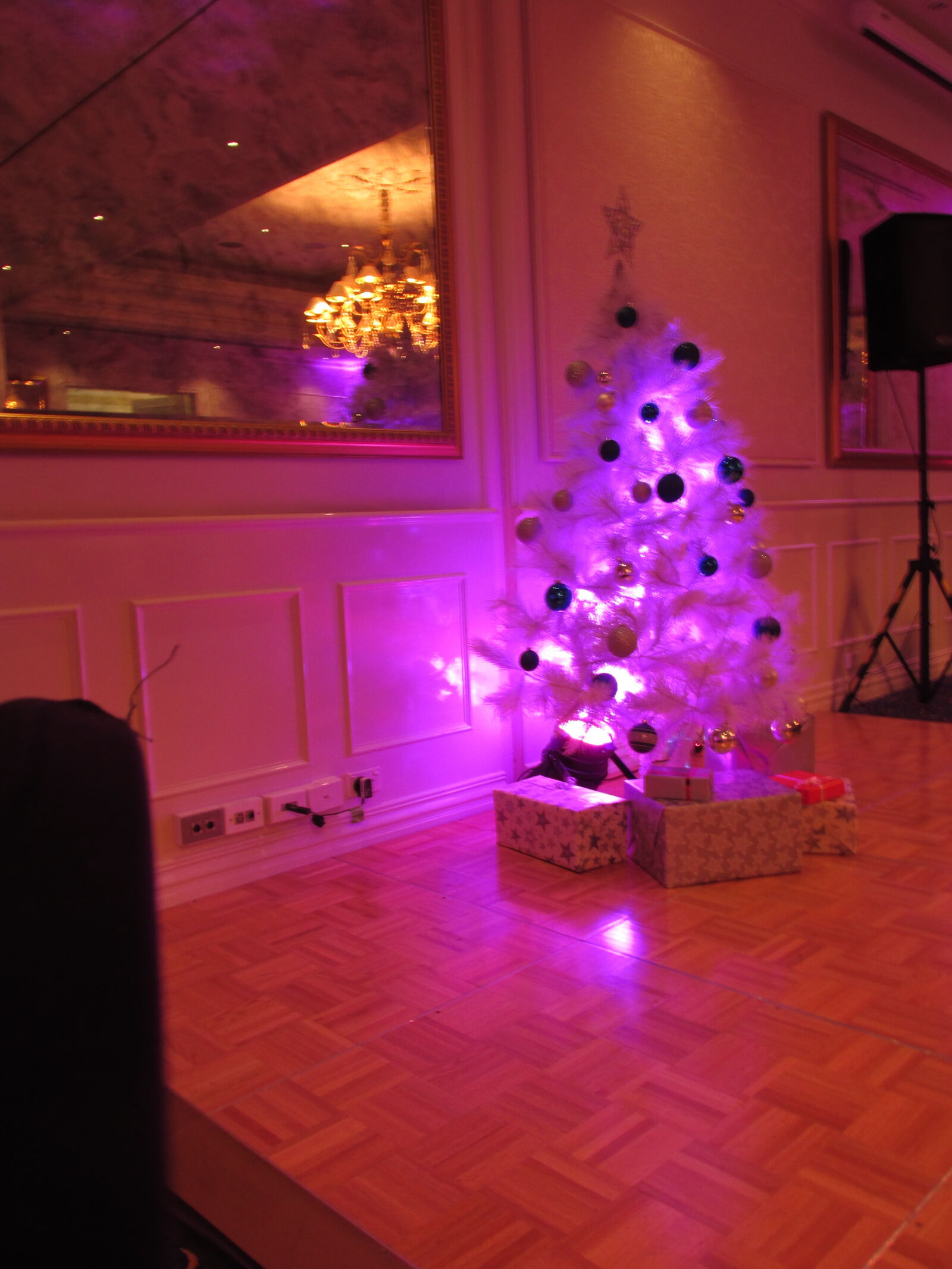 Canon PowerShot SX160 IS sample photo. Christmas, corporate, decoration, event photography