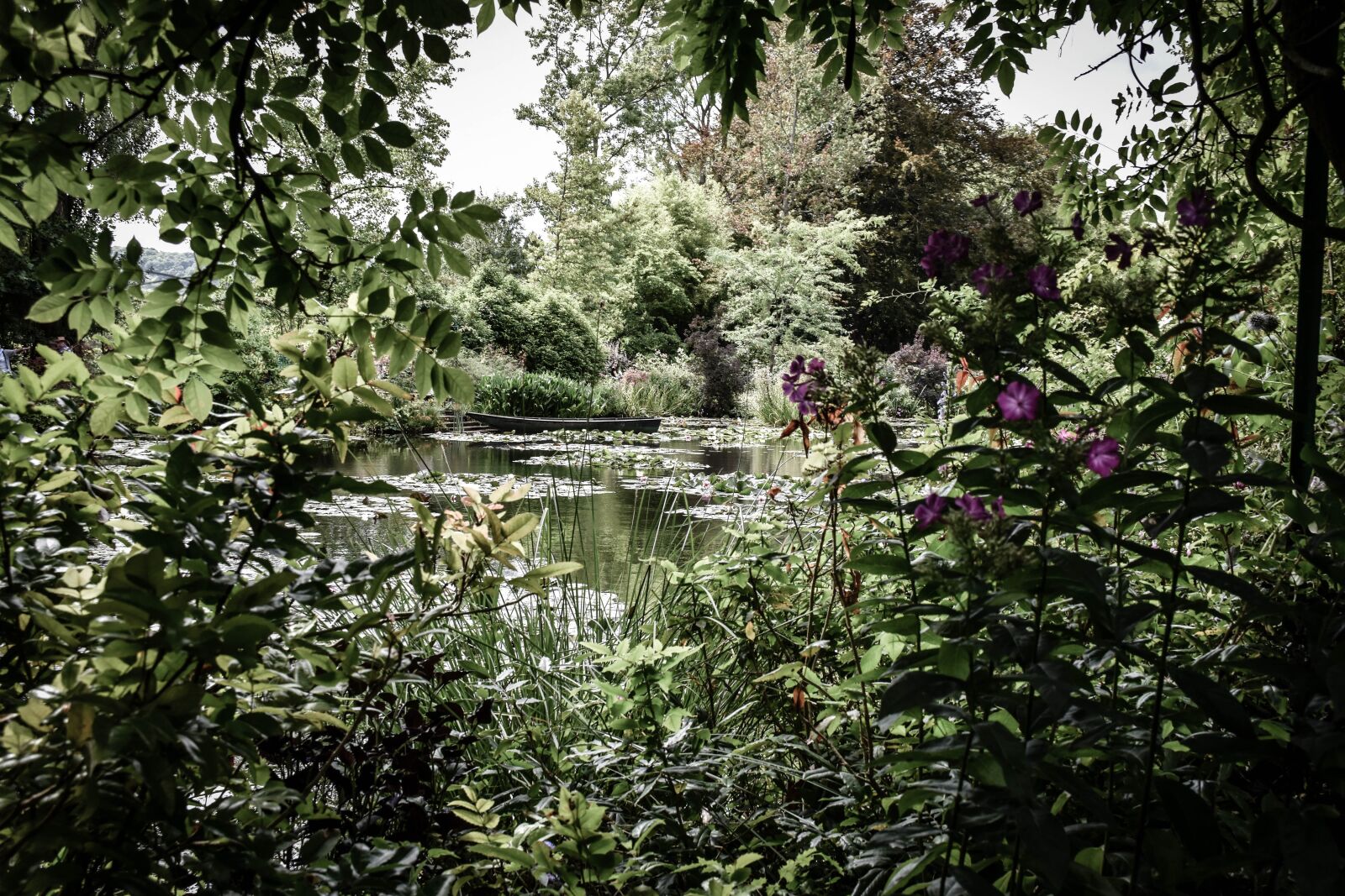 Nikon D5500 sample photo. Nature, france, landscape photography