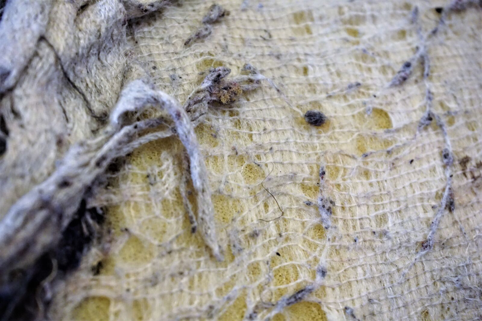 Sony E 16-50mm F3.5-5.6 PZ OSS sample photo. Abstract, pattern, desktop photography
