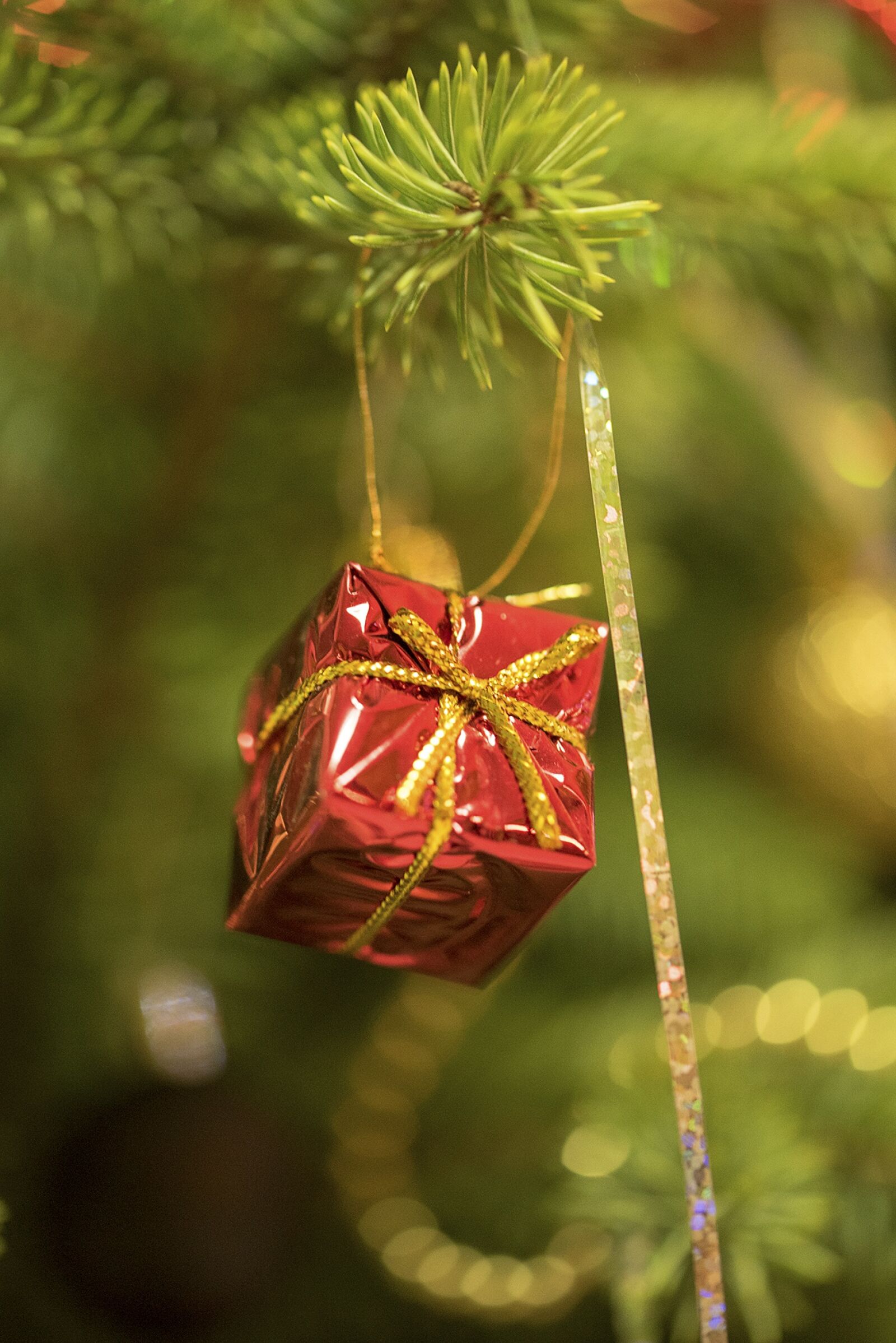 Nikon D750 sample photo. Tree, branch, christmas photography