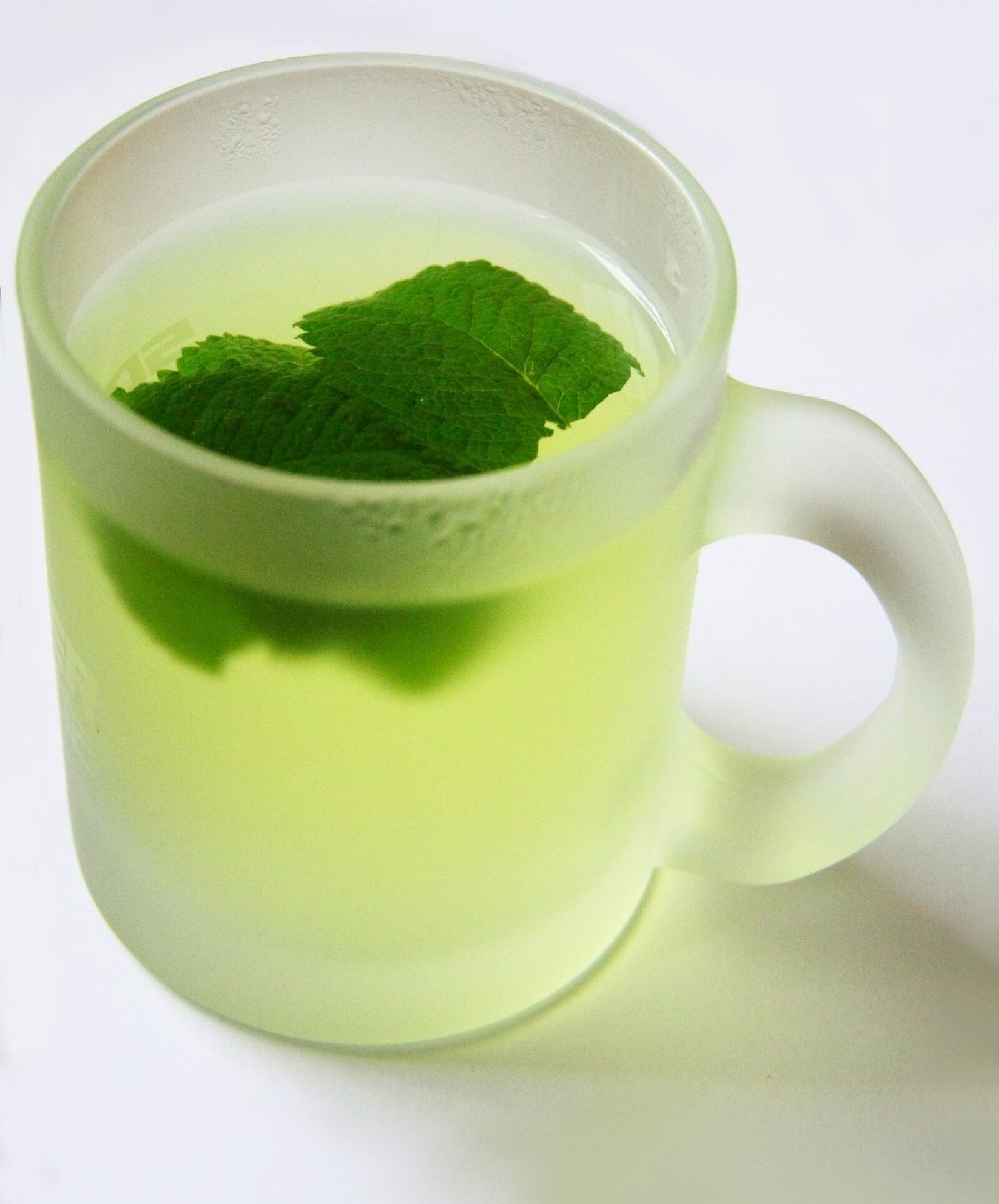 Canon EOS 40D sample photo. Peppermint tea, tee, peppermint photography