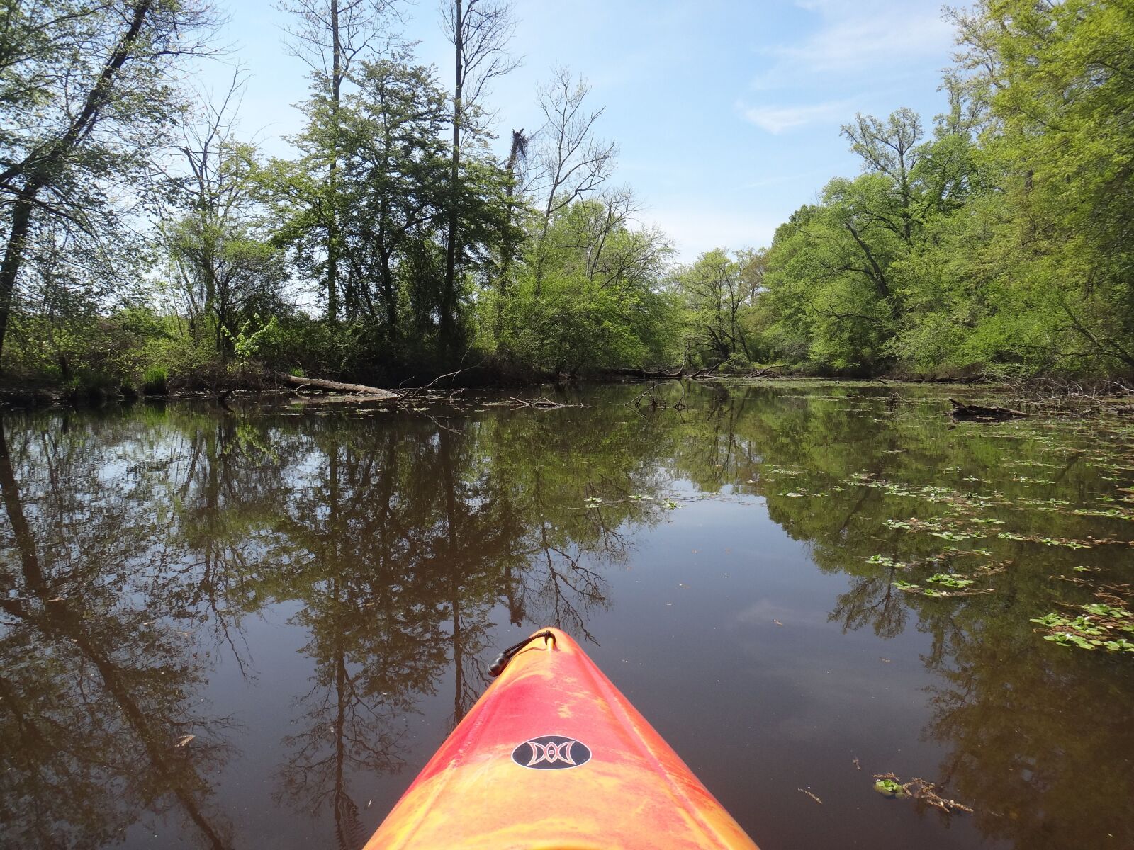 Sony DSC-TX20 sample photo. River, kayak, nature photography