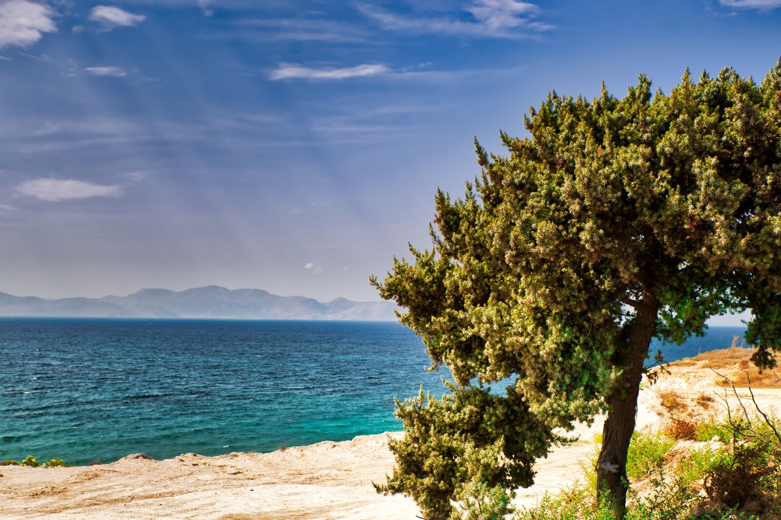 Canon EOS 80D sample photo. Tree, beach, sea photography