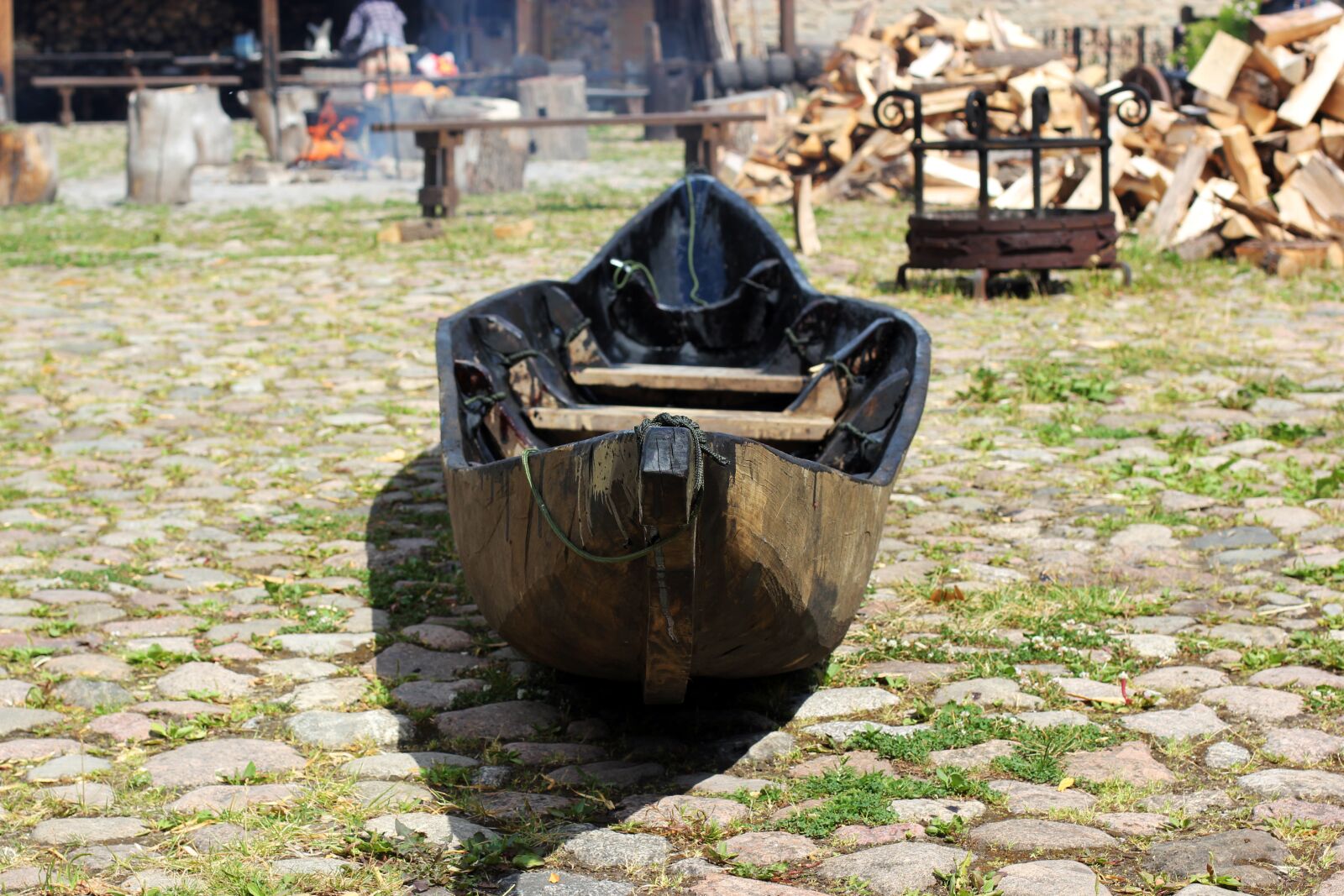Canon EOS 550D (EOS Rebel T2i / EOS Kiss X4) sample photo. Boat, tree, old photography