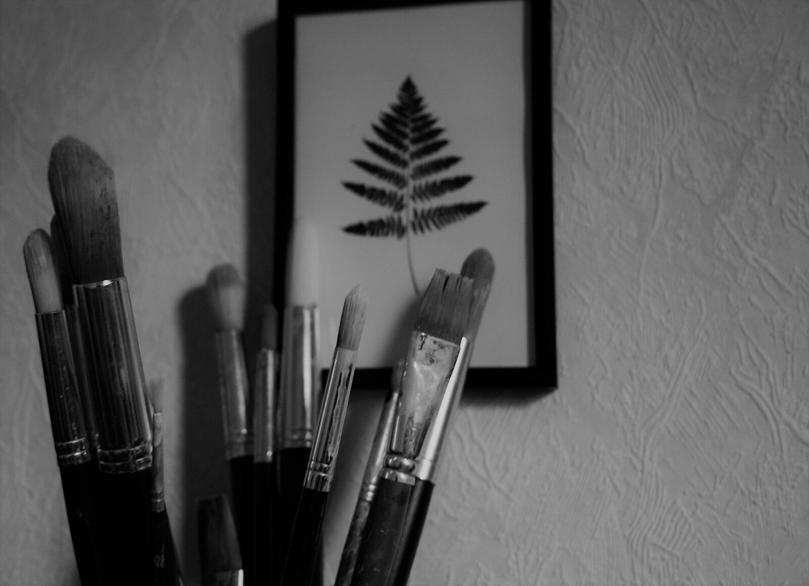 Canon EOS 1000D (EOS Digital Rebel XS / EOS Kiss F) sample photo. Brushes, painting, brush photography