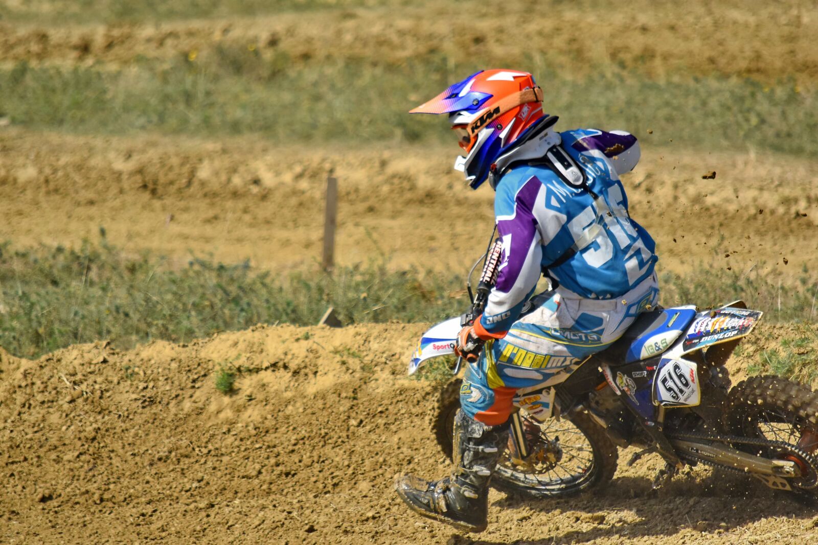Nikon D5500 sample photo. Champion, championship, excitement, exhibition photography
