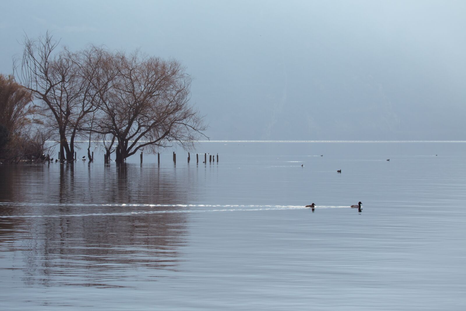 Canon EF 100-400mm F4.5-5.6L IS USM sample photo. Soft, lake, water photography