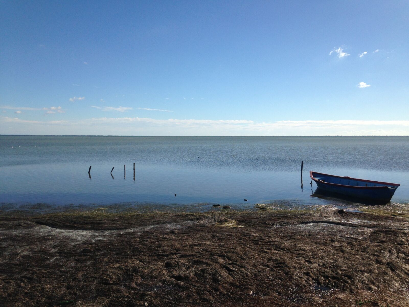 iPhone 5c back camera 4.12mm f/2.4 sample photo. Camargue, pond, boat photography