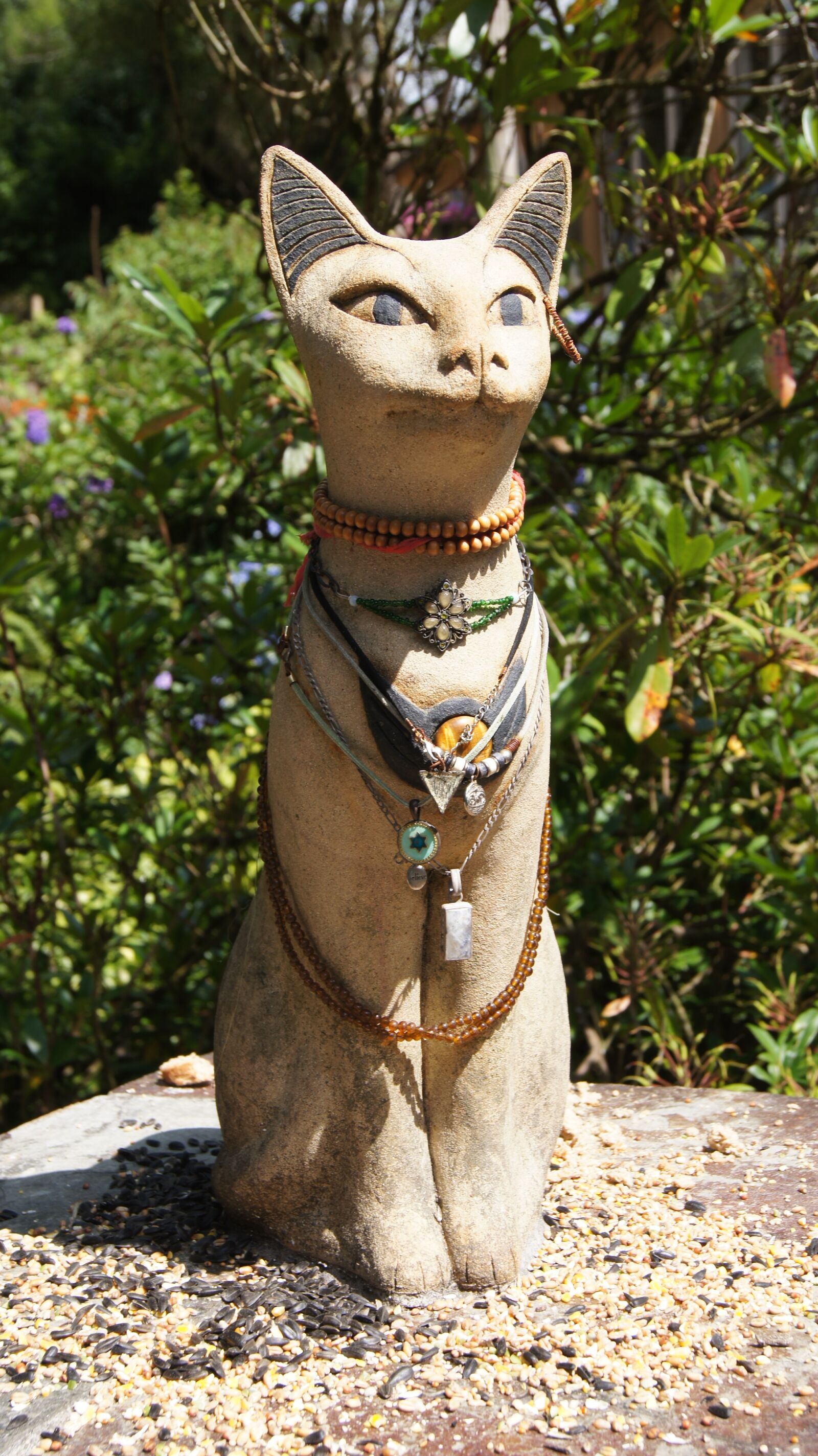 Sony SLT-A55 (SLT-A55V) sample photo. Cat, figure, animal photography