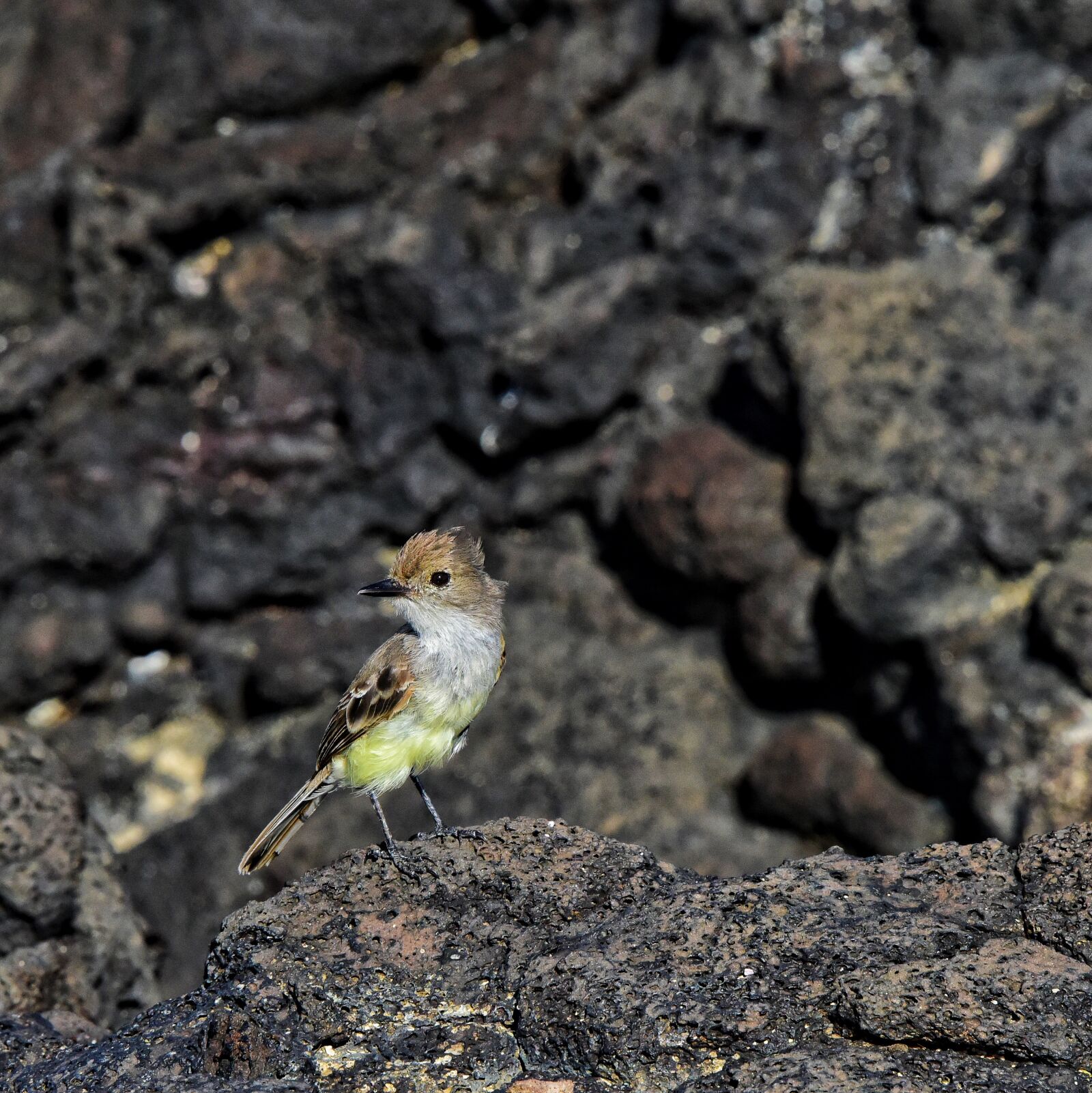 Nikon D810 sample photo
