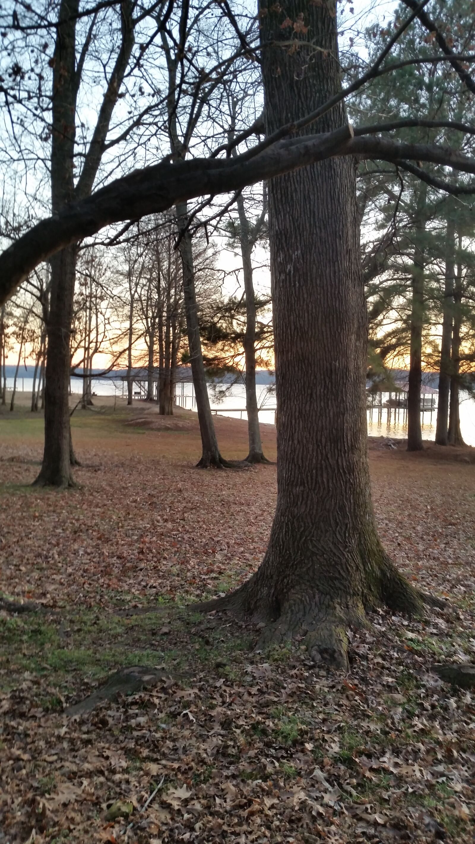 Samsung Galaxy S5 sample photo. Tennessee, river, sunset photography