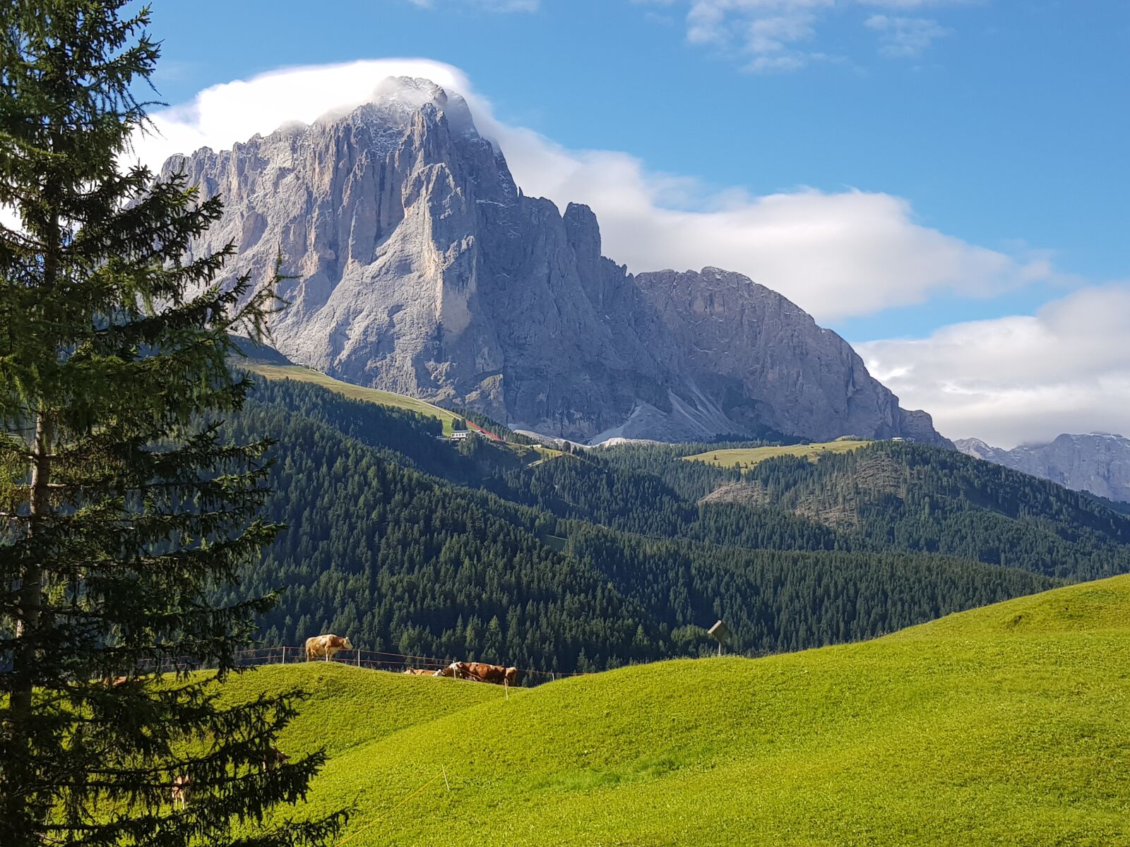 Samsung Galaxy S8 sample photo. Heidi, landscape, alpine photography