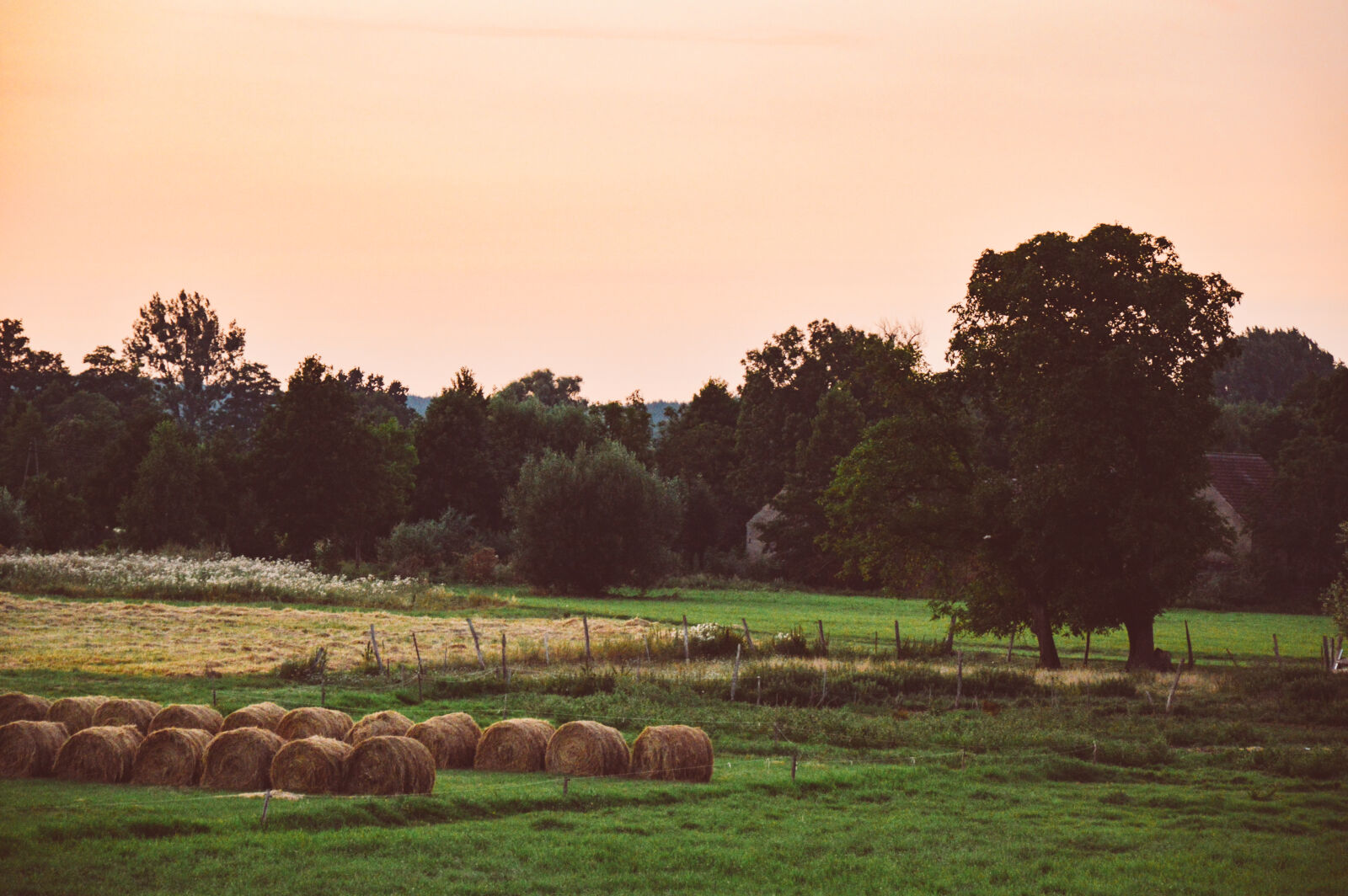 Nikon D3200 sample photo. Countryside, dawn, dusk, evening photography