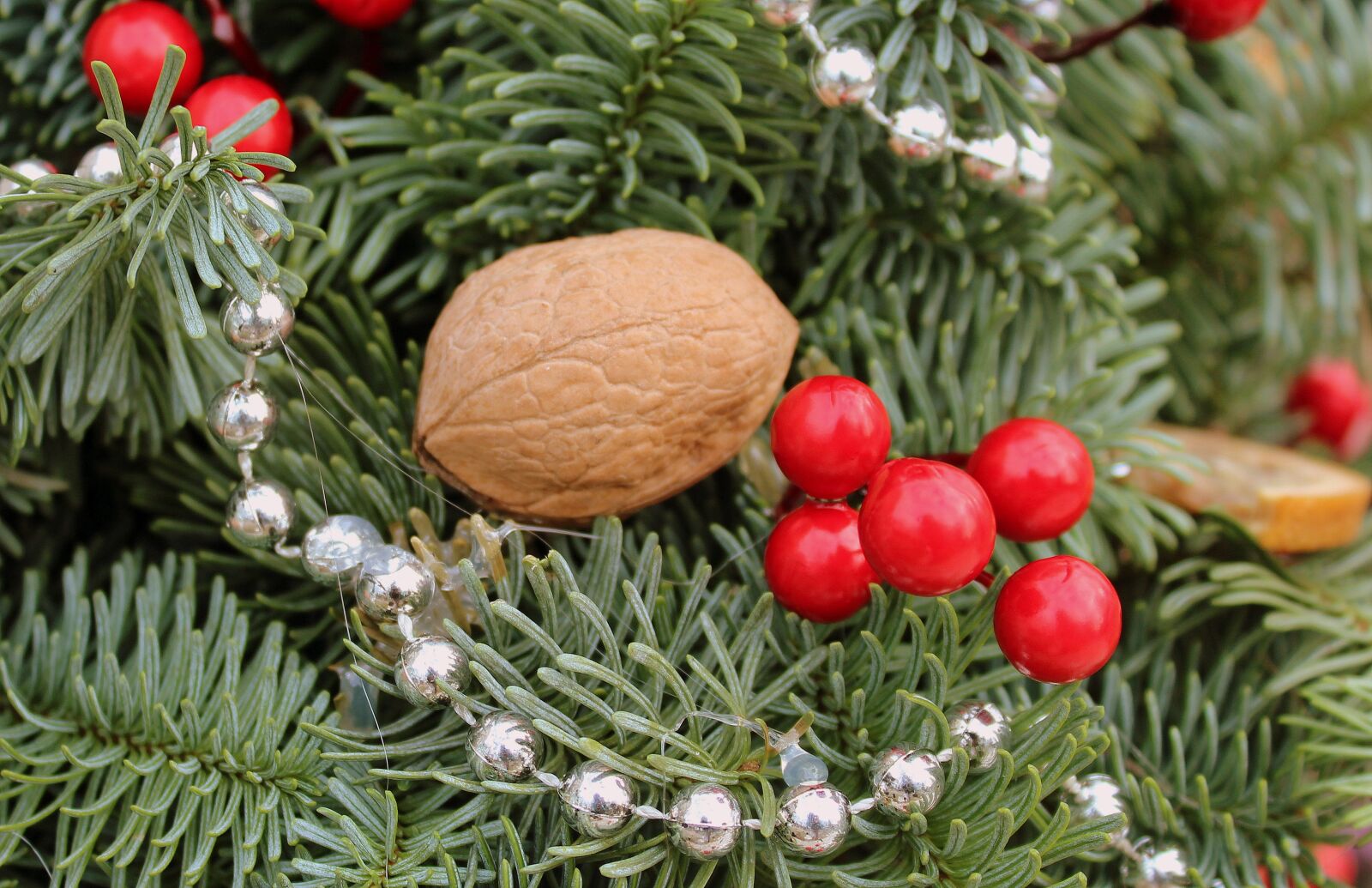 Canon EOS 1200D (EOS Rebel T5 / EOS Kiss X70 / EOS Hi) sample photo. Reed, decoration, christmas photography
