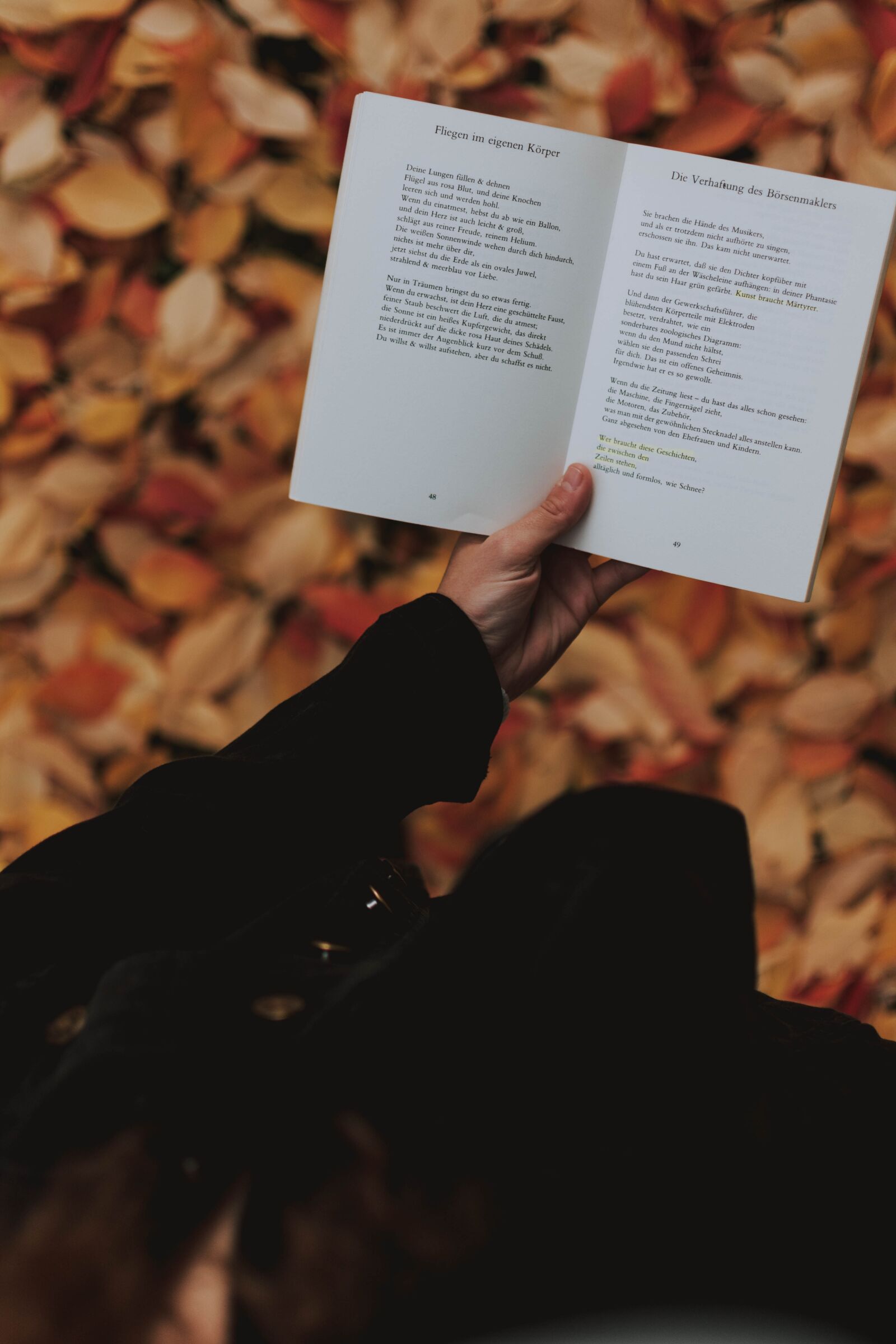 Nikon D5200 sample photo. Autumn, leaves, book photography