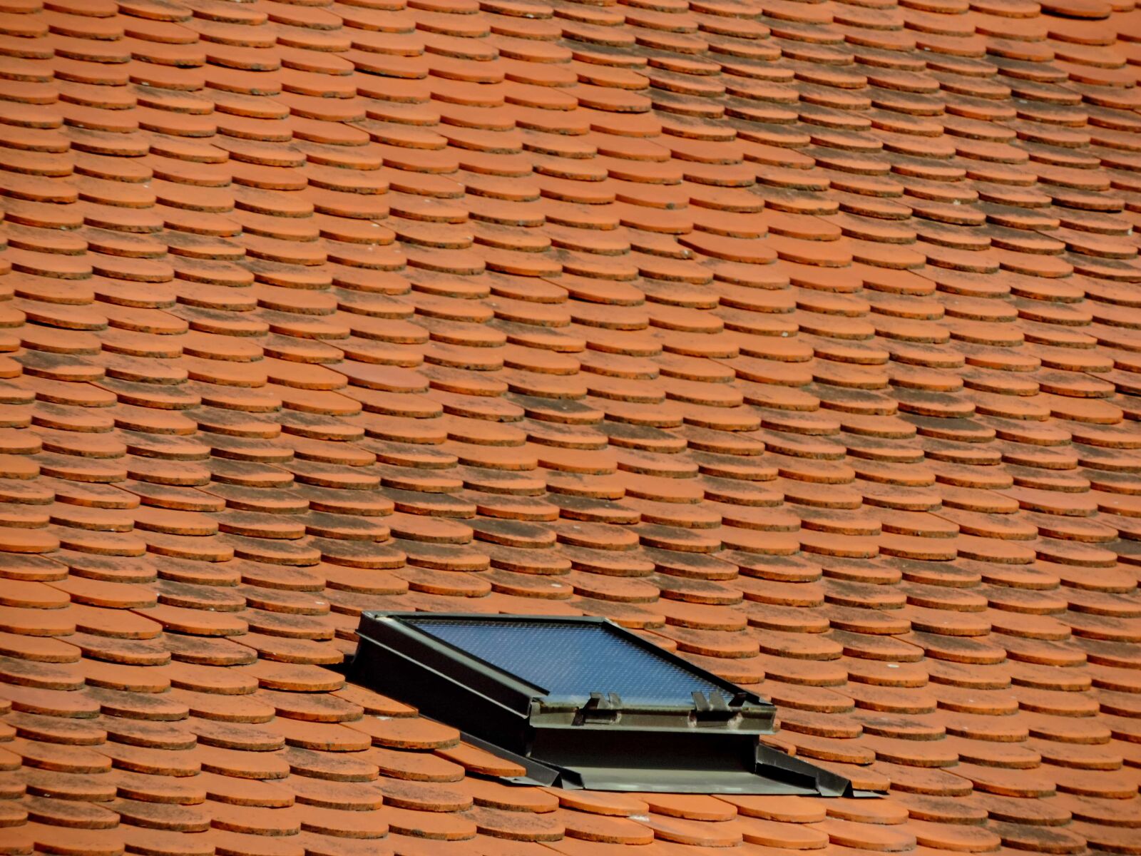 Nikon Coolpix P520 sample photo. Roof, window, waterproof, architecture photography