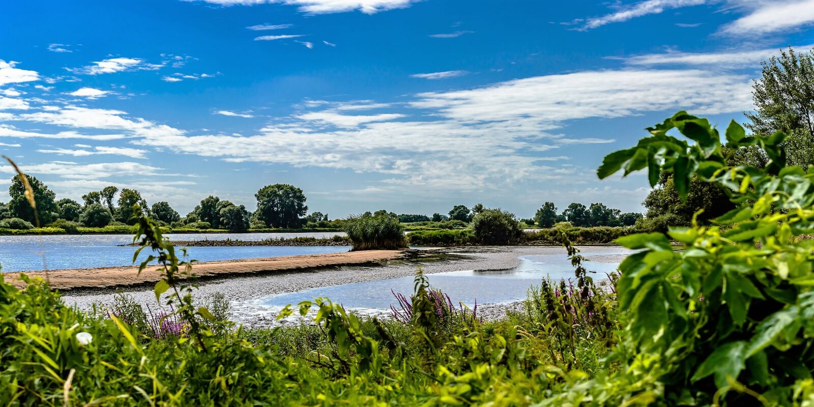 Nikon D3200 sample photo. Elbe, dike, river photography