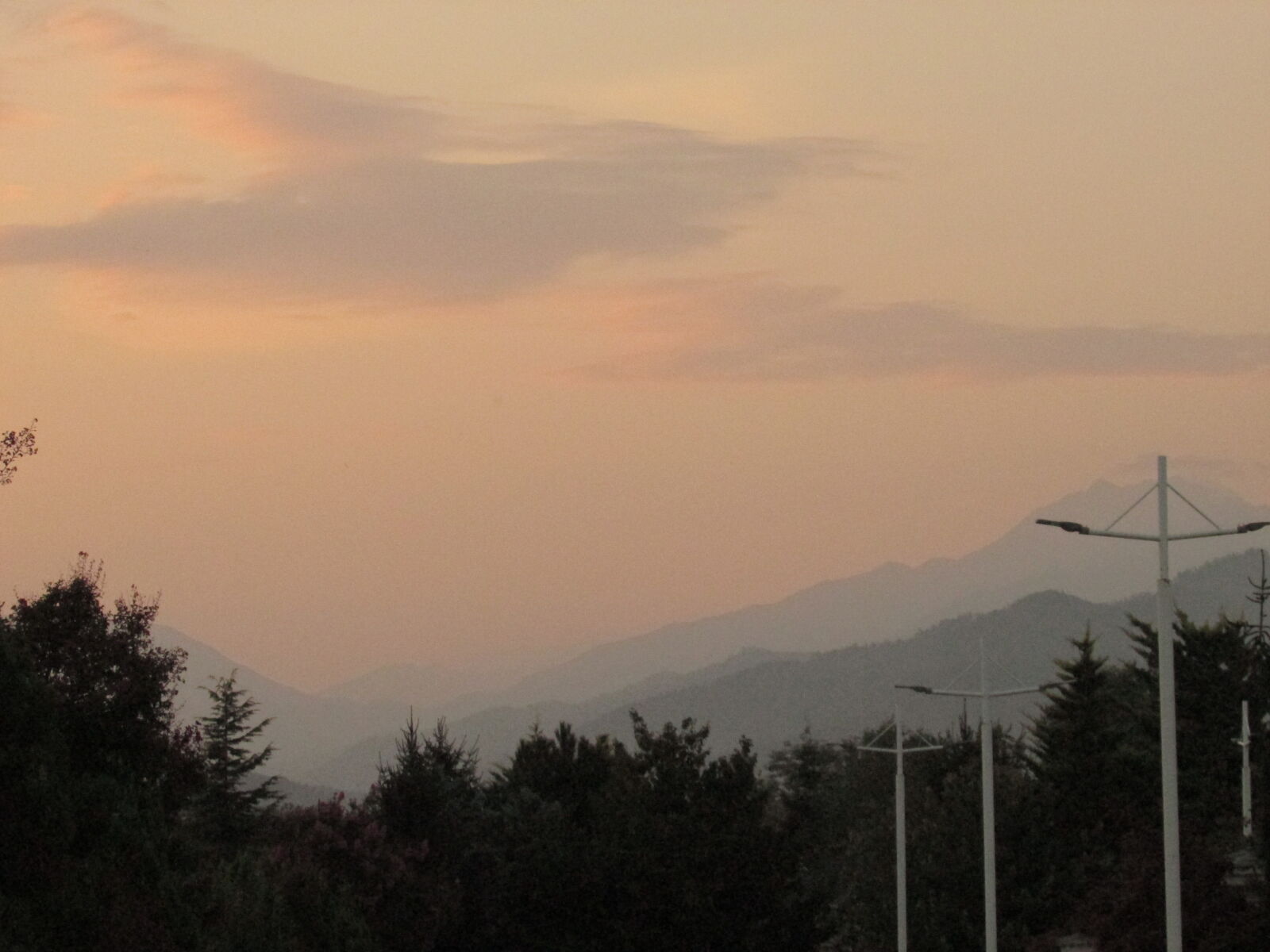 Canon PowerShot SX400 IS sample photo