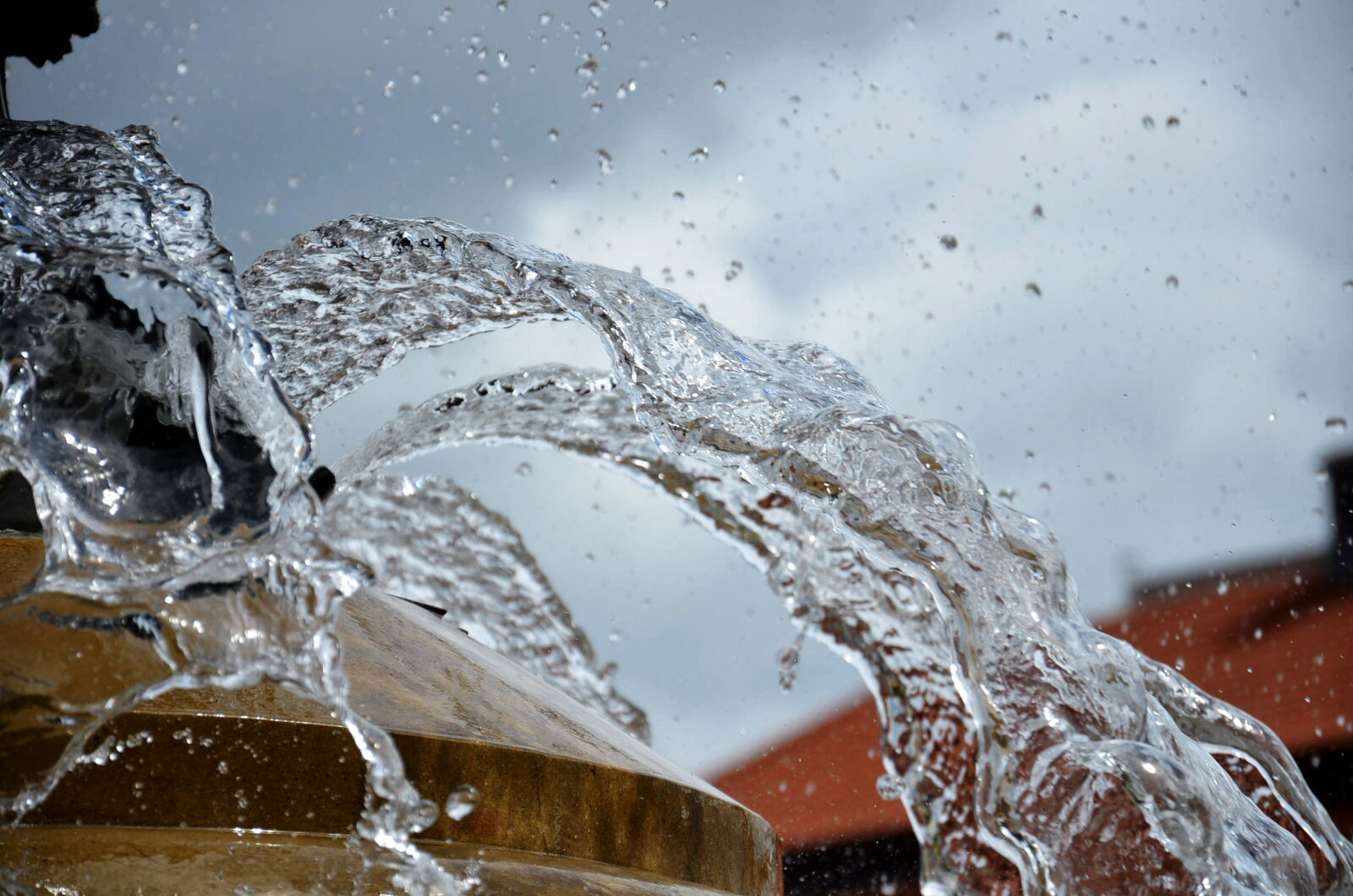 Nikon D5100 sample photo. Clean, clear, close, up photography