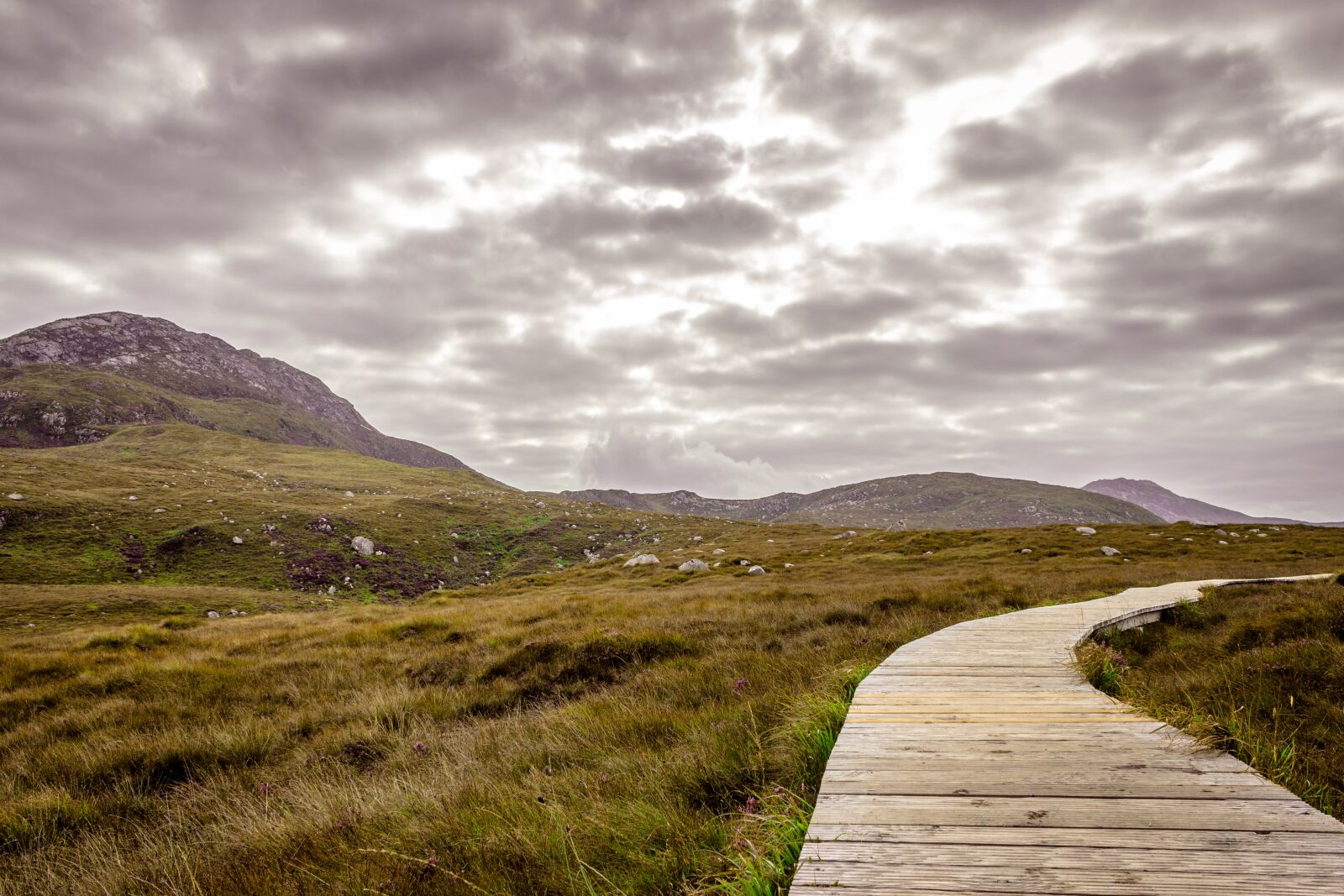 Canon EOS 600D (Rebel EOS T3i / EOS Kiss X5) sample photo. Ireland, national, park photography