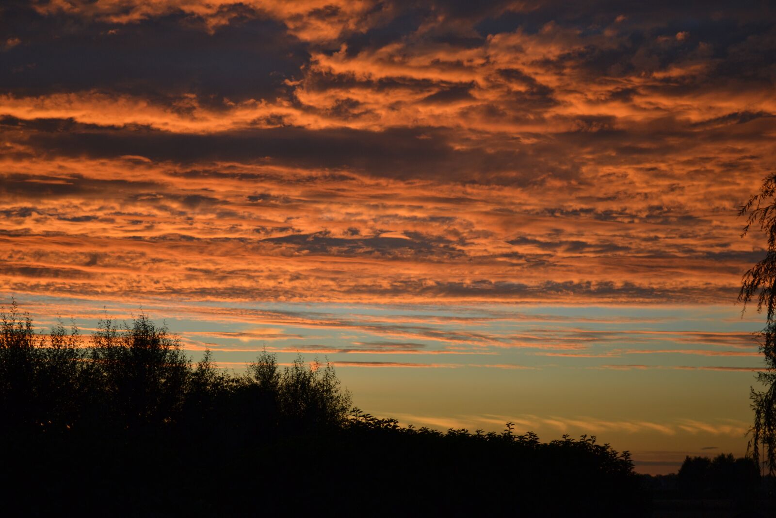 Nikon D3100 sample photo. Clouds, air, nature photography