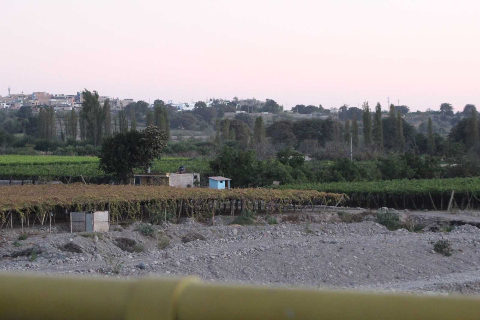 Canon EOS 1300D (EOS Rebel T6 / EOS Kiss X80) sample photo. Vineyards, moquegua, peru photography