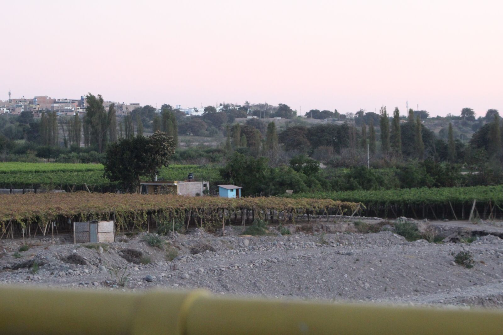 Canon EOS 1300D (EOS Rebel T6 / EOS Kiss X80) + EF75-300mm f/4-5.6 sample photo. Vineyards, moquegua, peru photography