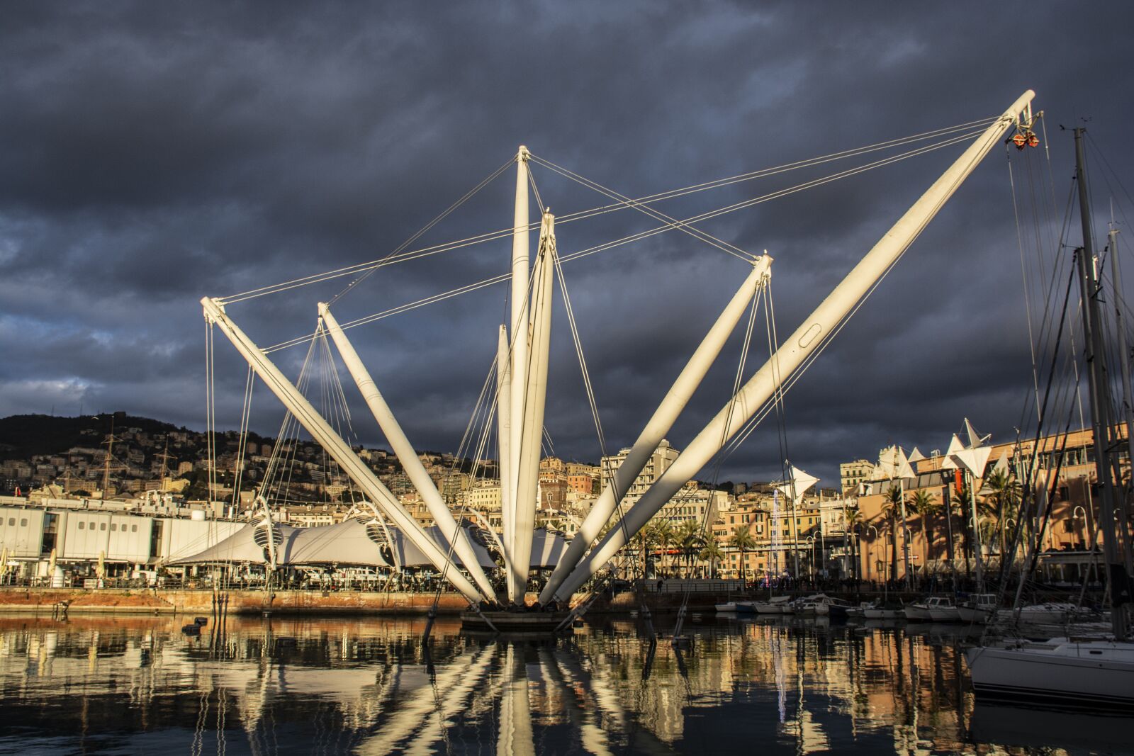 Nikon D7100 sample photo. Genoa, the old port photography