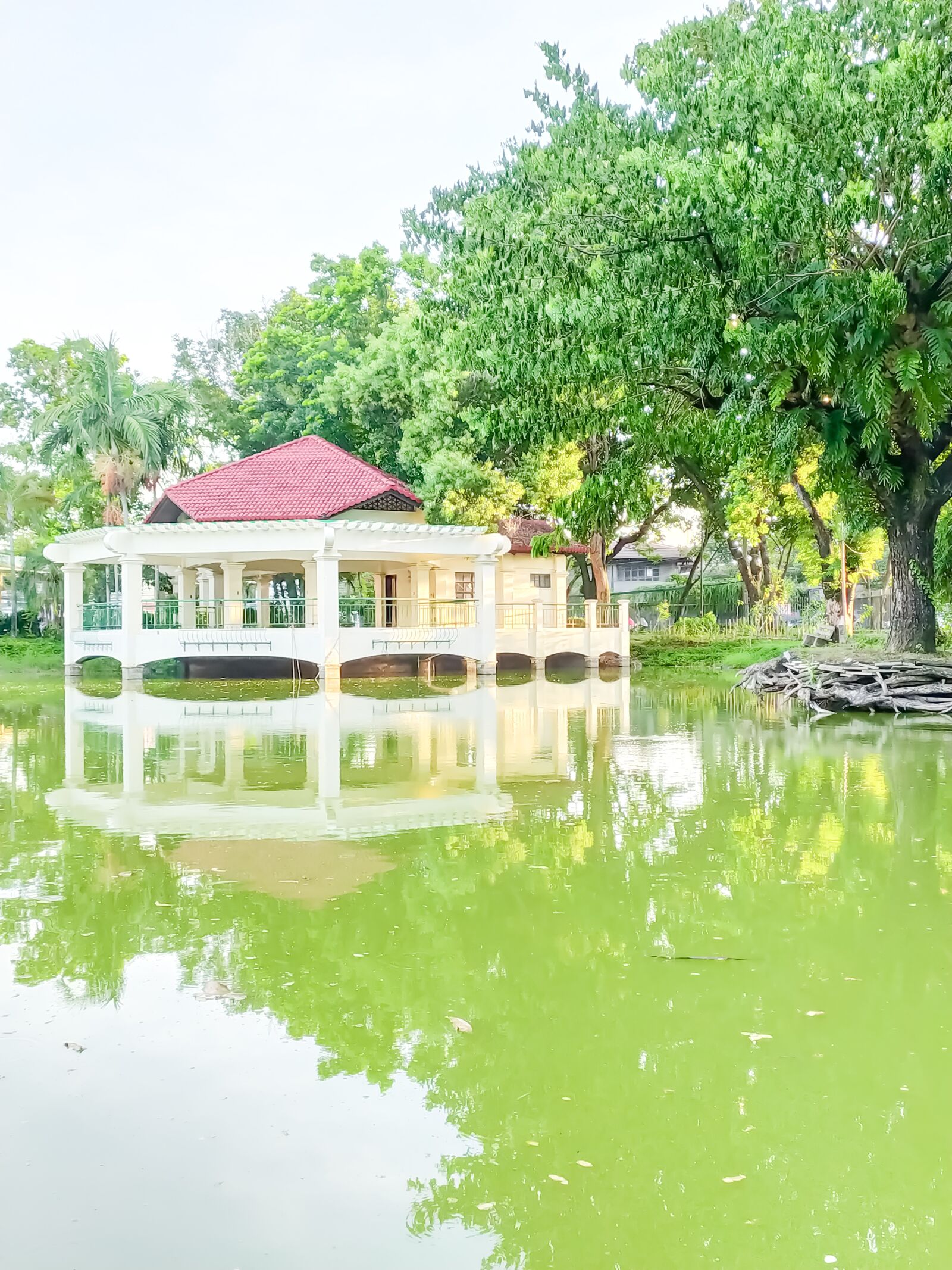 Xiaomi Redmi Note 8 sample photo. Lagoon, park, plaza pond photography