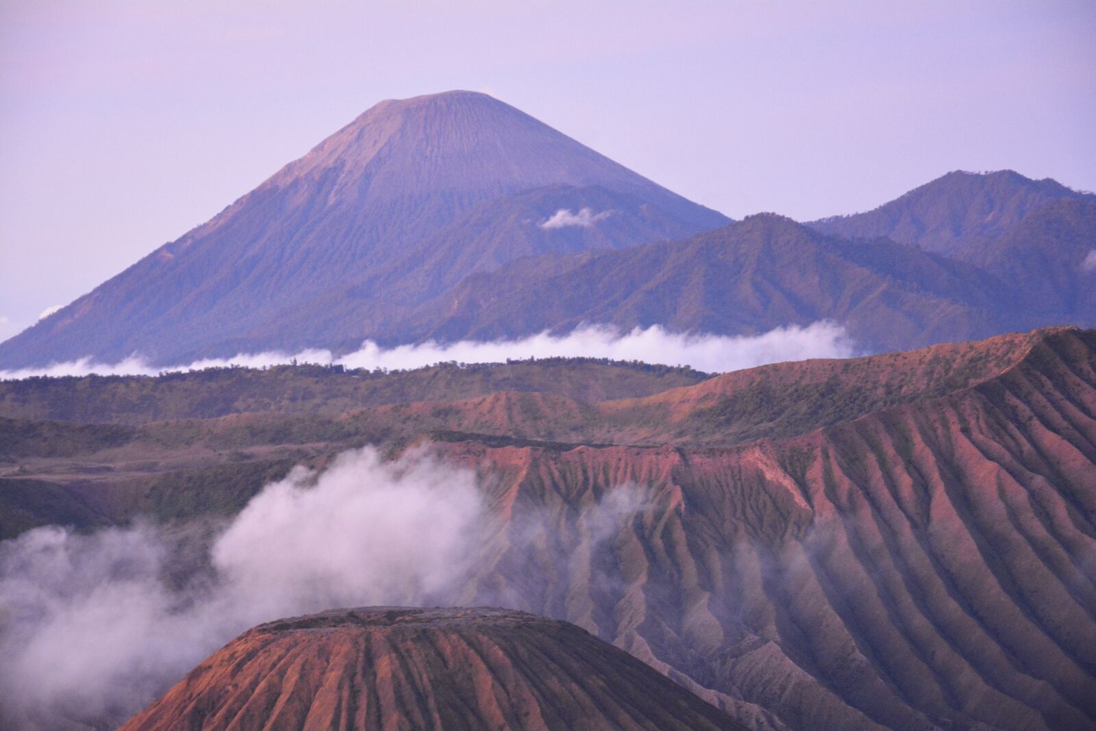 Nikon D5200 sample photo. Java, indonesia, nature photography