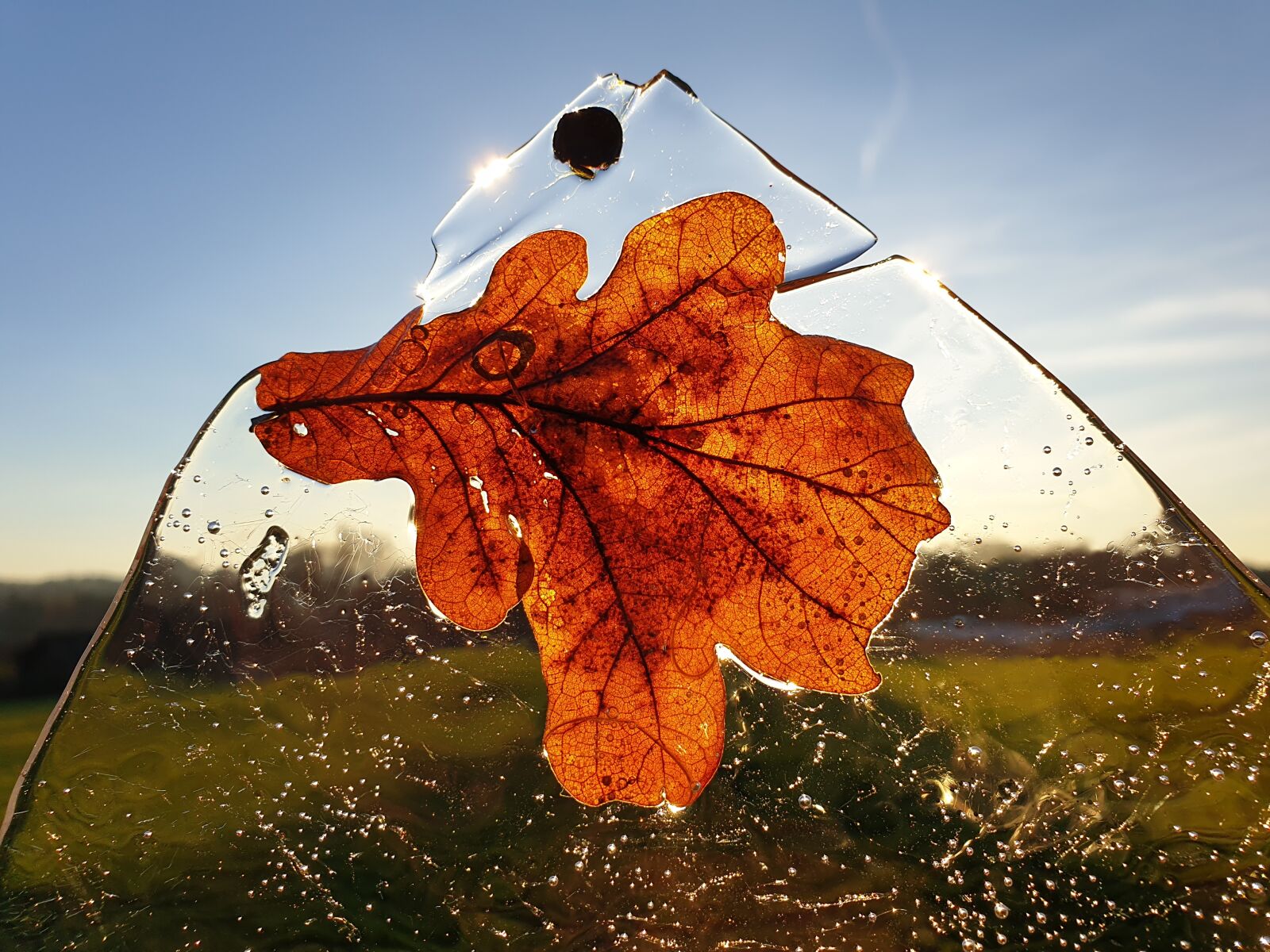 Samsung Galaxy S9+ sample photo. Leaf, ice, sun photography