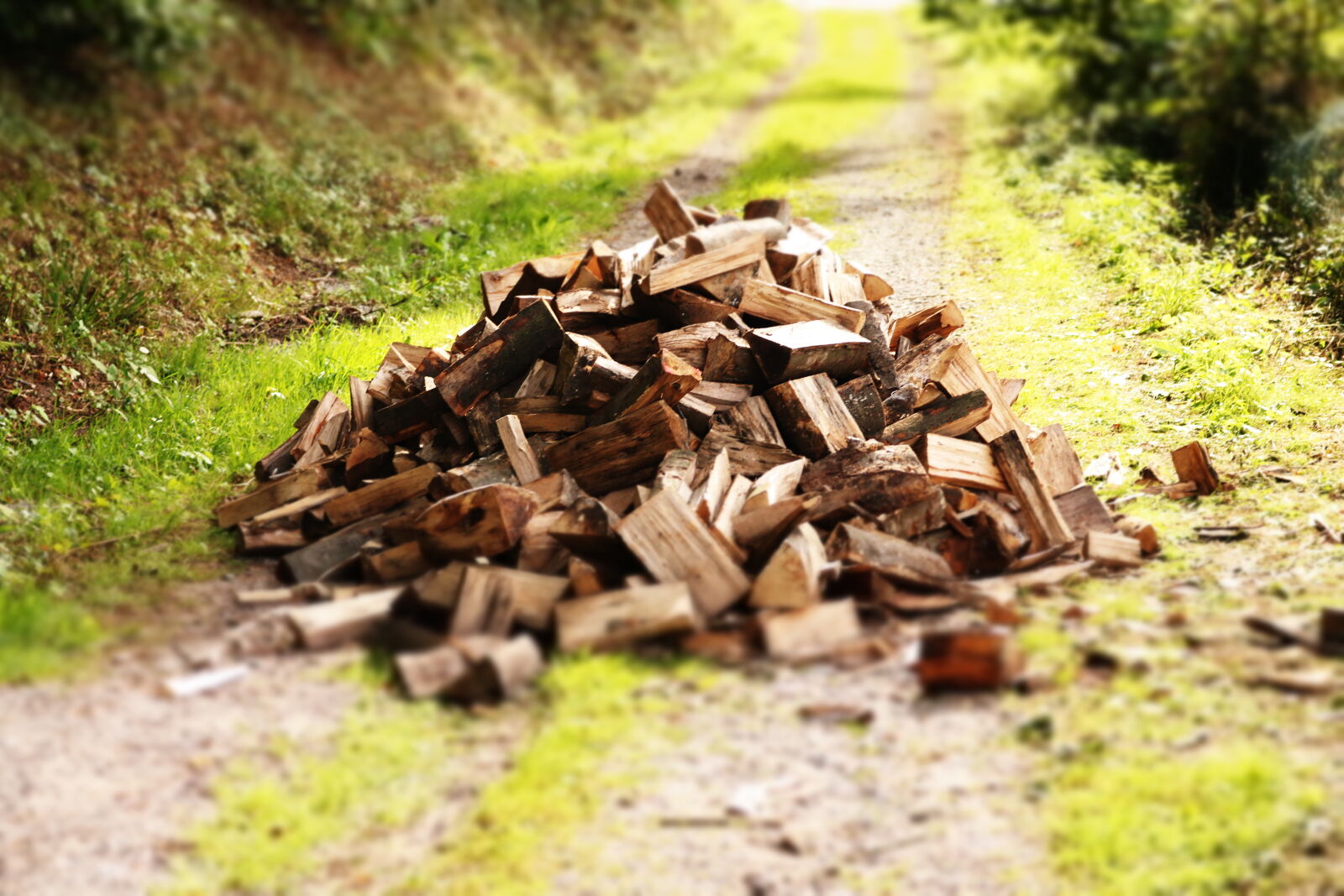 Canon EOS 750D (EOS Rebel T6i / EOS Kiss X8i) sample photo. Chopped, wood photography