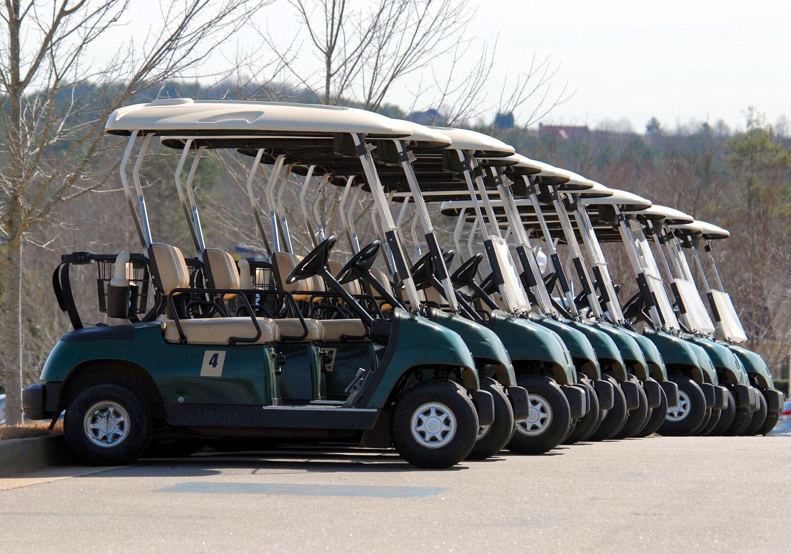 Nikon D200 sample photo. Golf carts, golf, parked photography