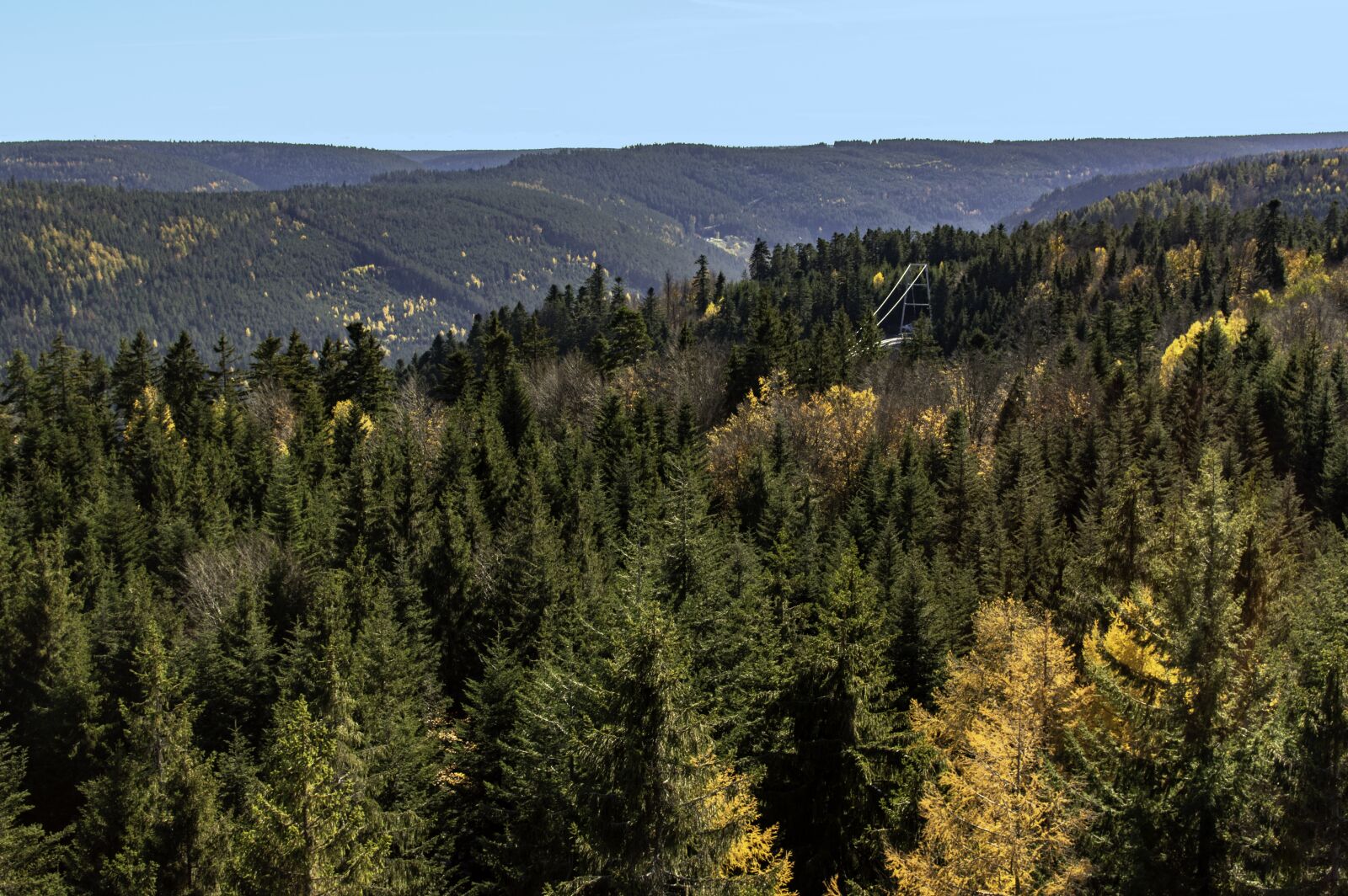 Nikon D3200 sample photo. Forest, black forest, nature photography