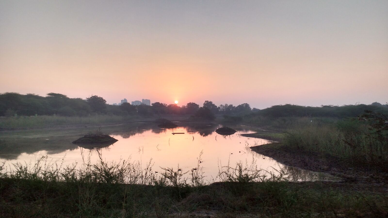 Motorola MotoG3 sample photo. Nature, love, morning photography